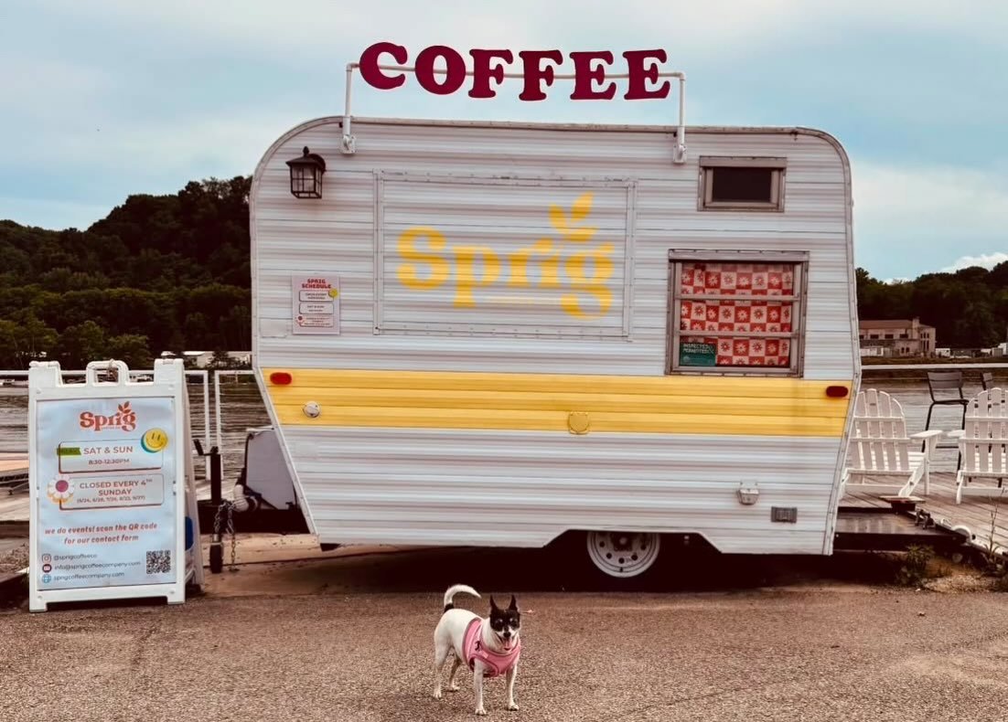 Daisy wants you all to know that we are OPEN 🎀👉 tomorrow and Saturday 👈 from 8:30-12:30, if you want to come by and get a pup cup!

However, we are CLOSED ❌ this Sunday (7/26) for our regularly scheduled 4th Sunday a month off, so that would ✨not 