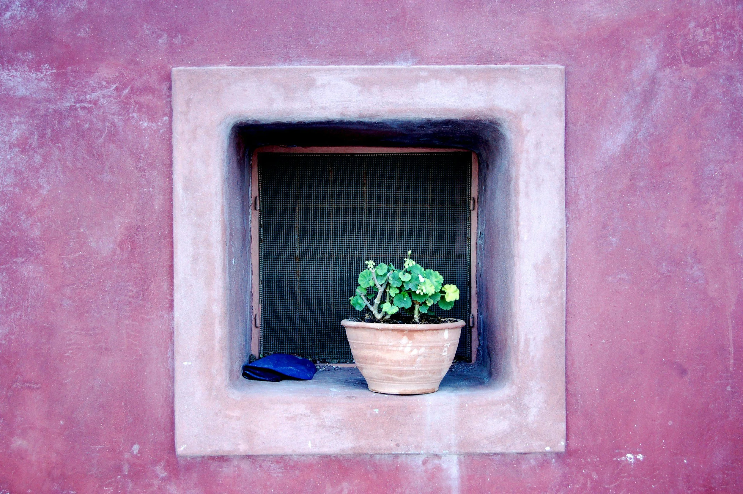 Custom Ceramic Planters- Design and create unique pottery for your favorite succulents and plants.
