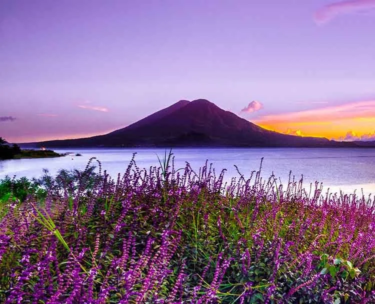 The Art of Seeing Beyond:  Unveiling the Path to Healing