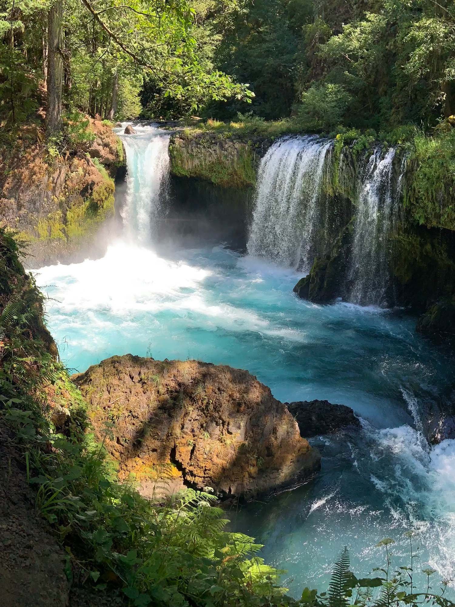 Image of waterfall in the Pacific Northwest