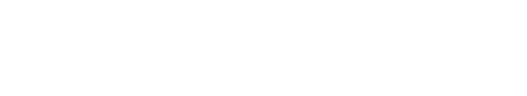 White left-aligned logo for Magic City Wonders series