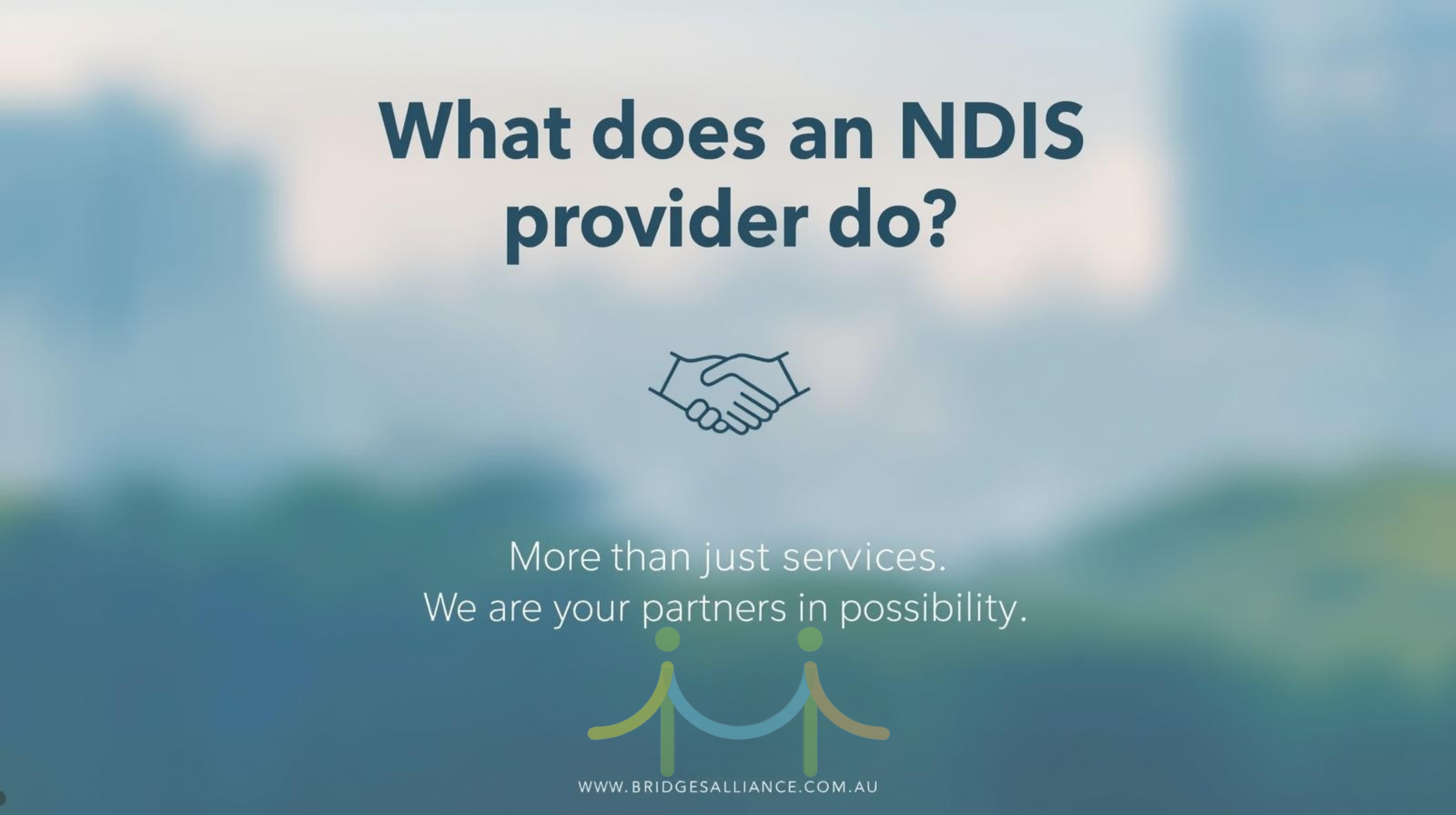 What Does an NDIS Provider Do
