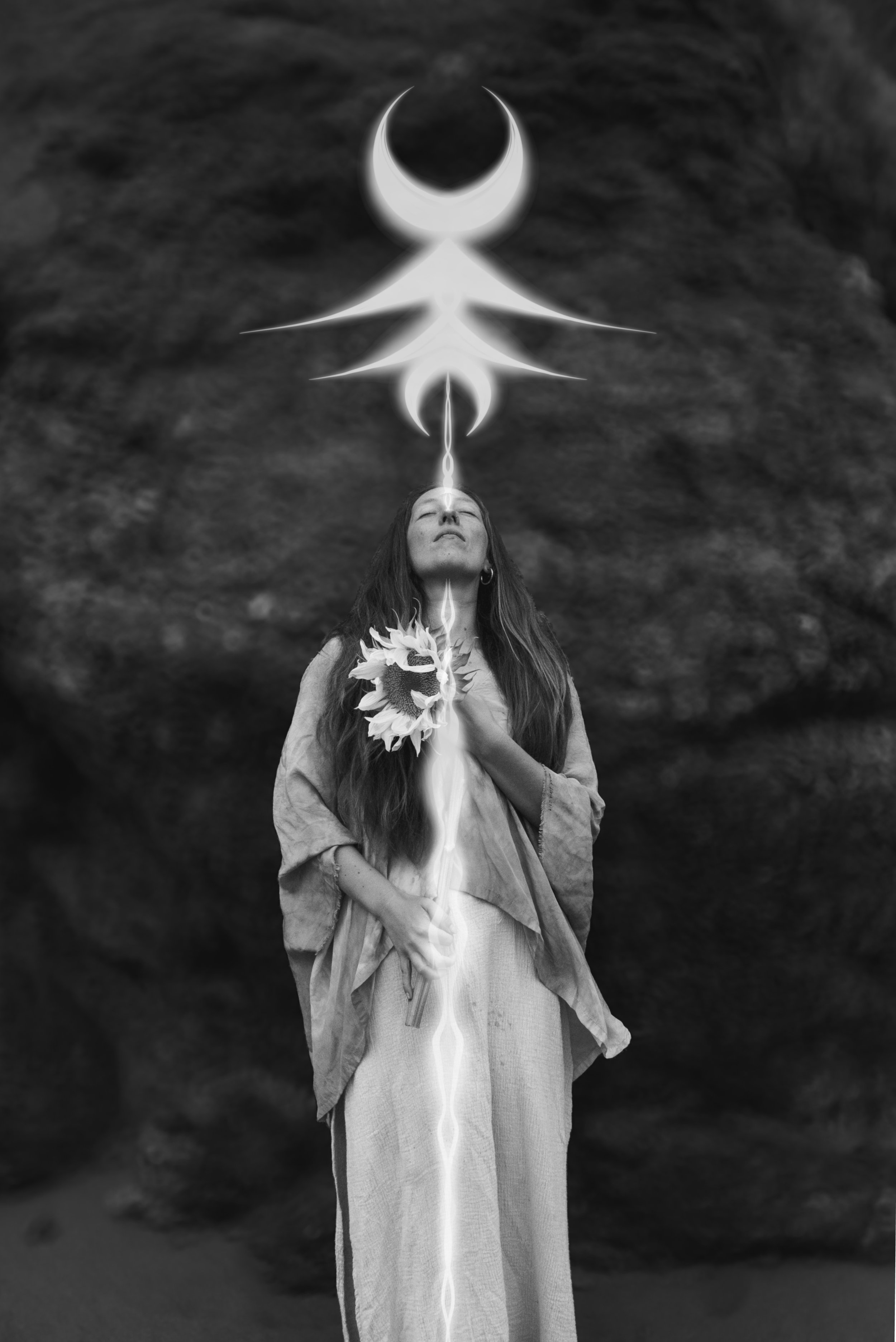 House of New Moon