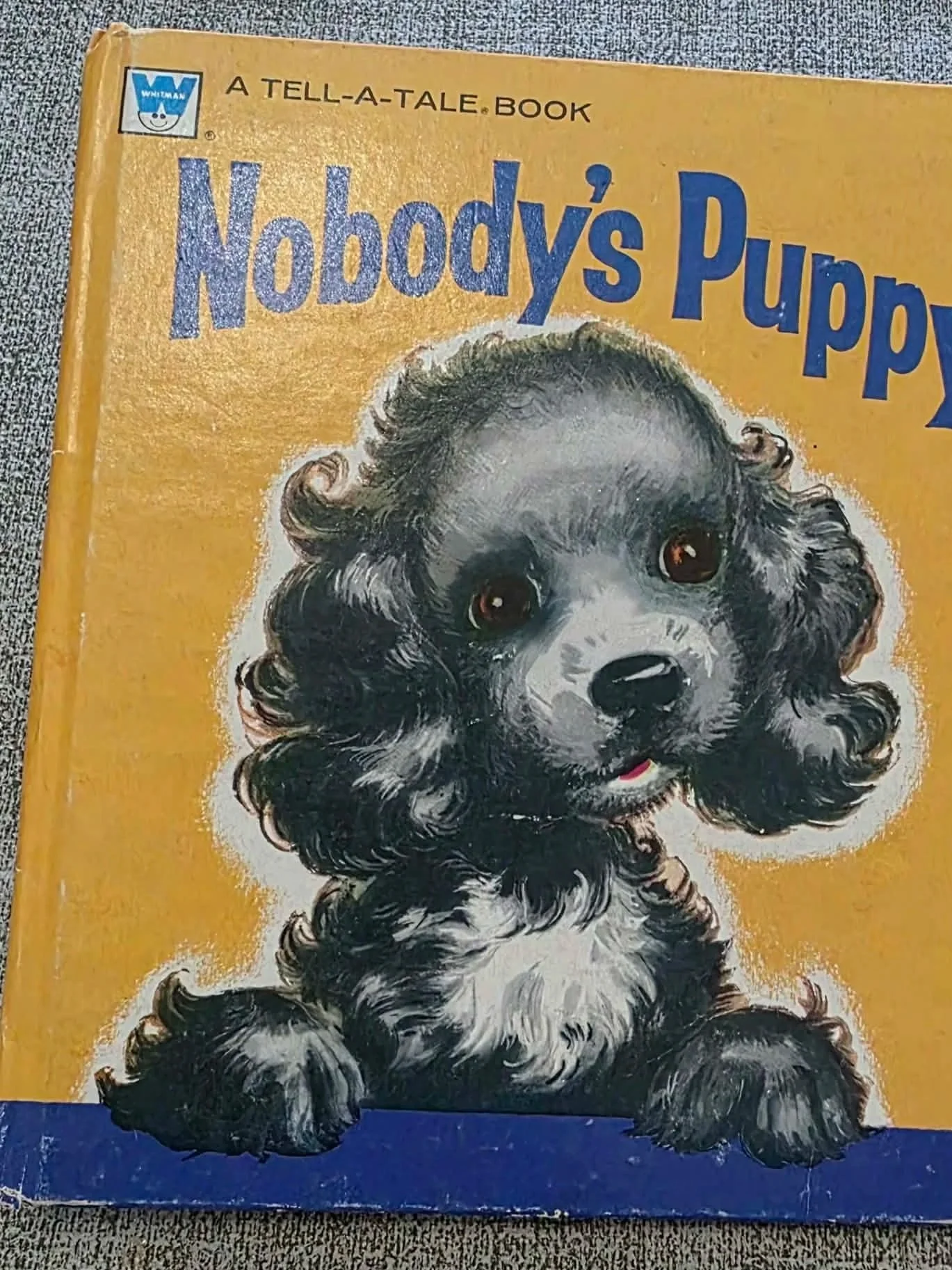 Discovering Hidden Treasures