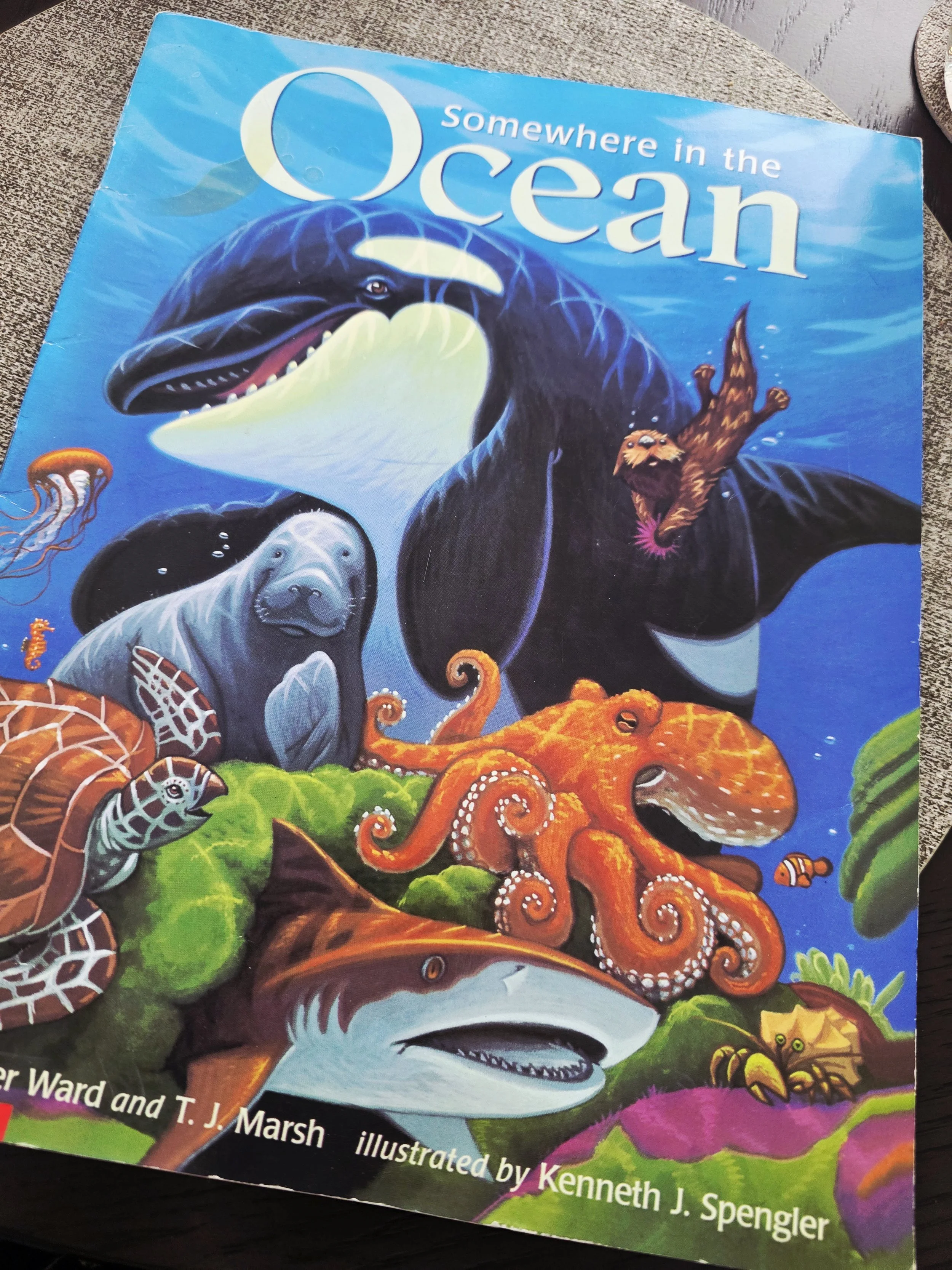 Somewhere In The Ocean