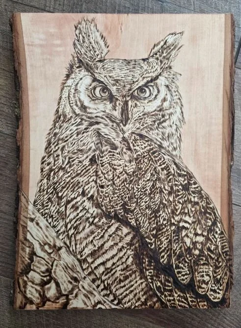 Great Horned Owl