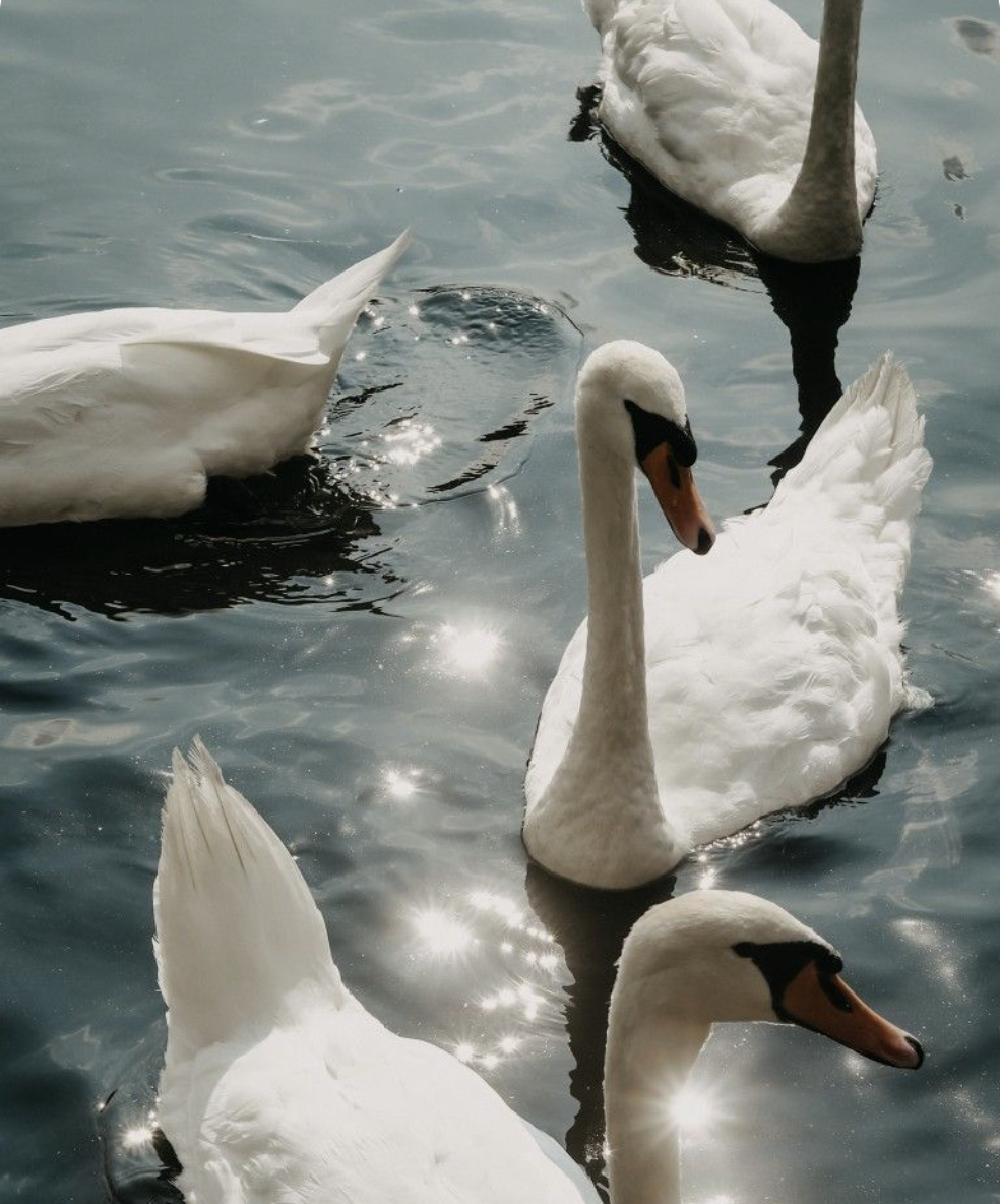 sexual trauma and attachment healing