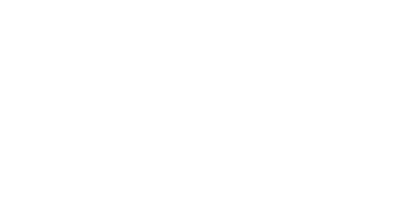 LUX CLEAN