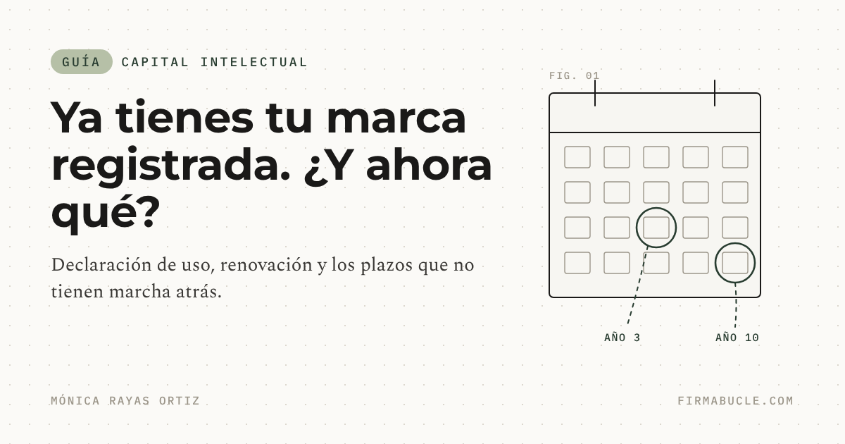 Ya tienes tu marca registrada. ¿Y ahora qué?