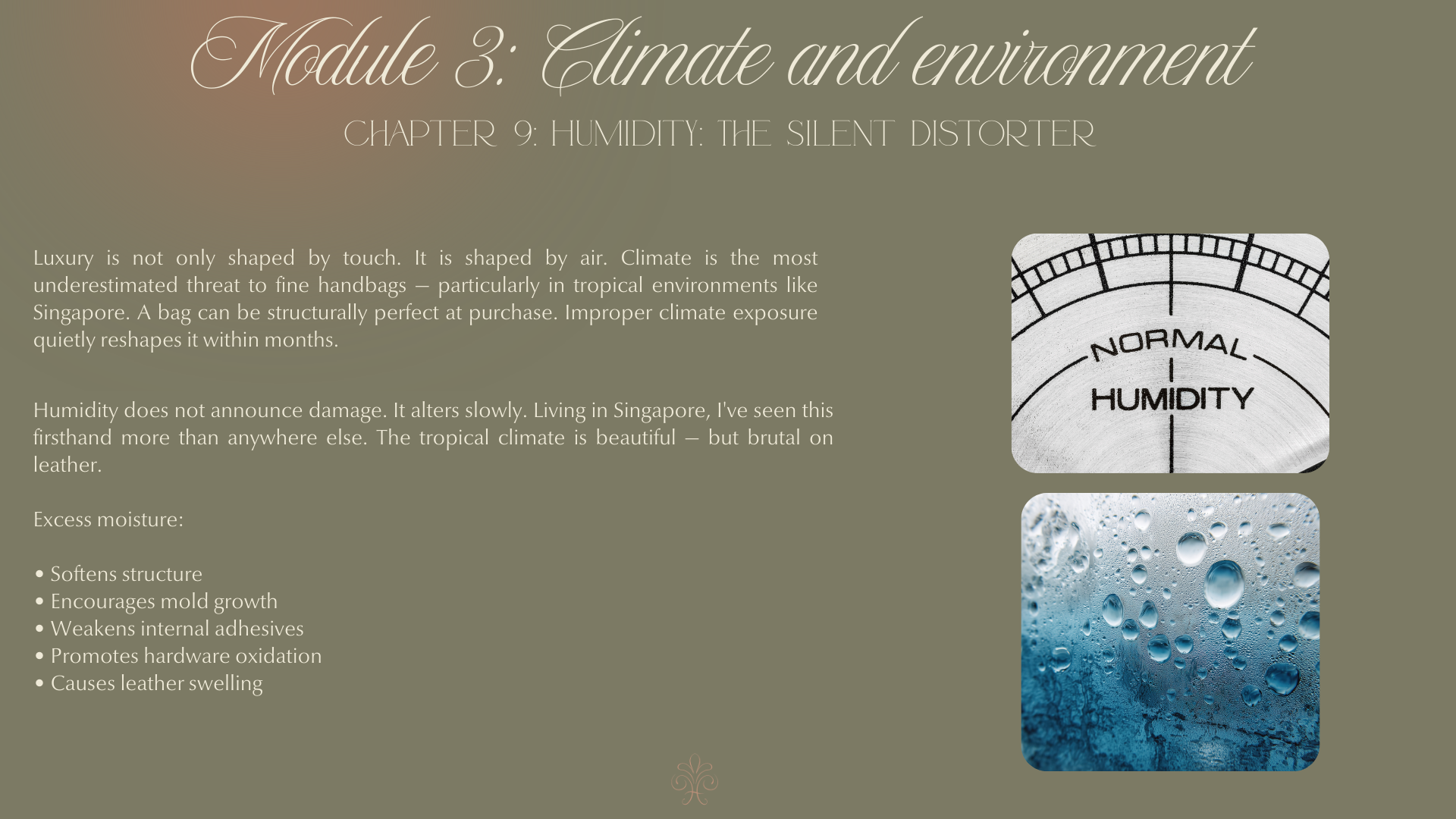 how climate and environment can affect your luxury handbags