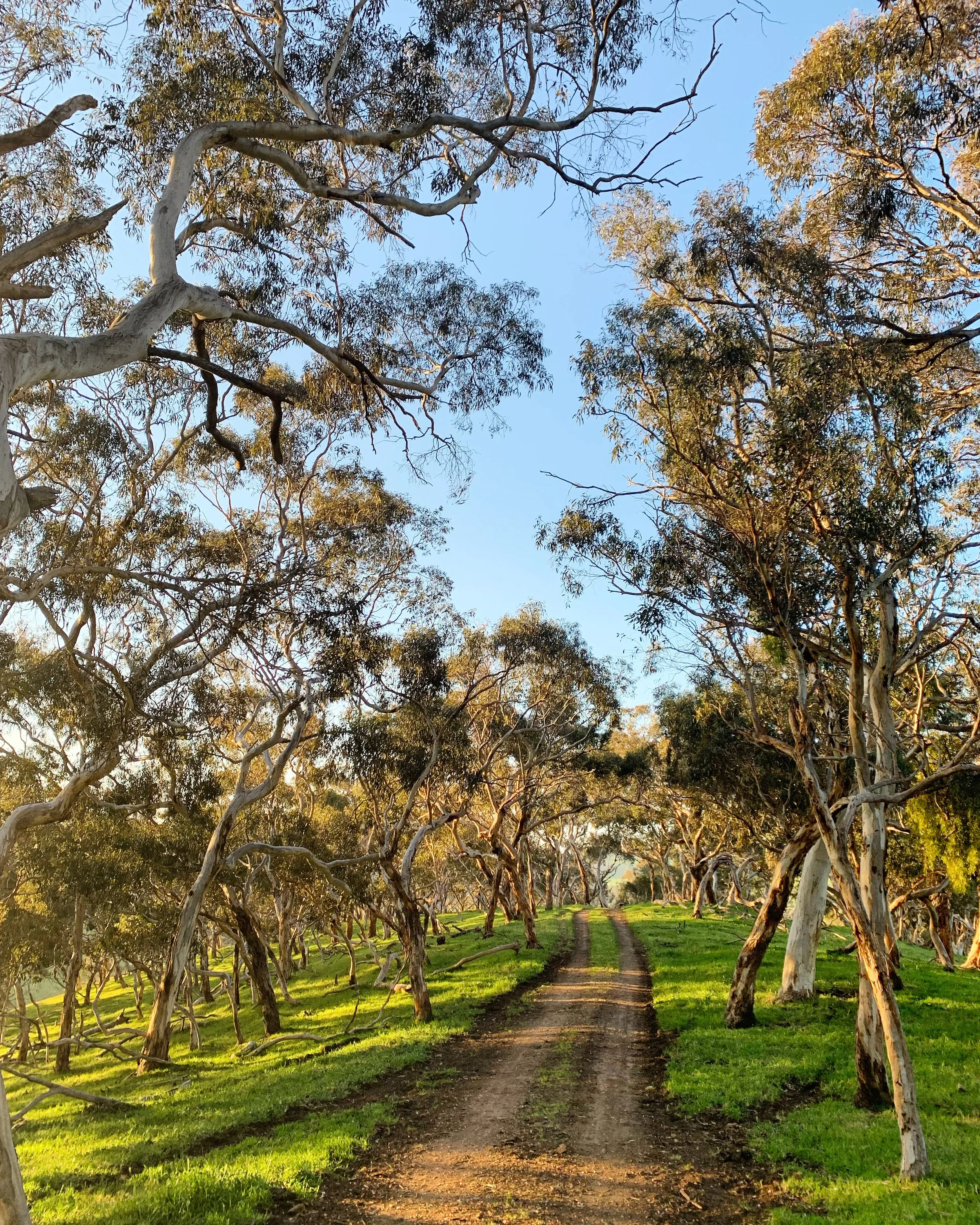 04541E41-B573-4371-88D0-155502E4D5EB 2.JPG