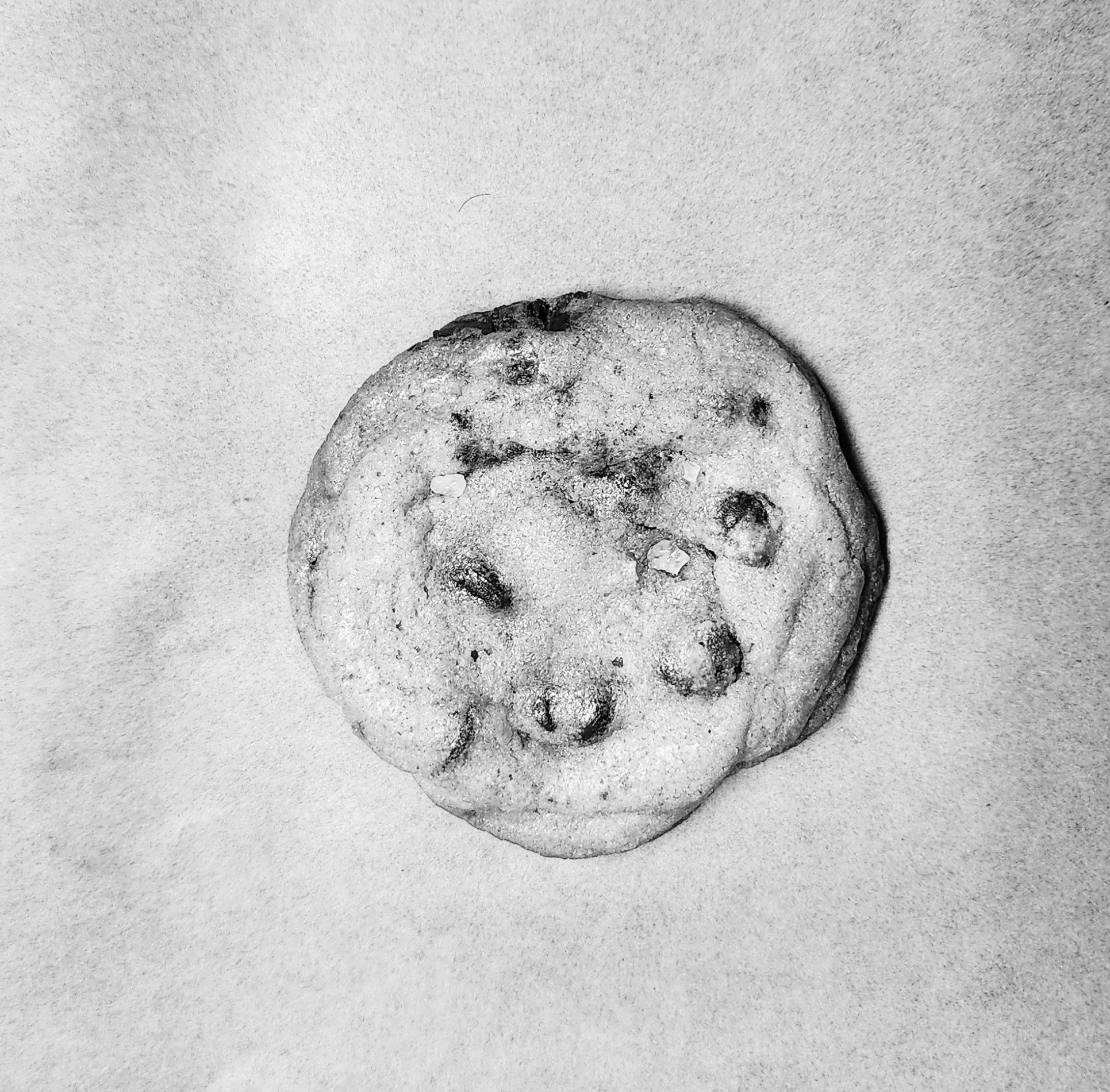 Black and white photo of a chocolate chip cookie
