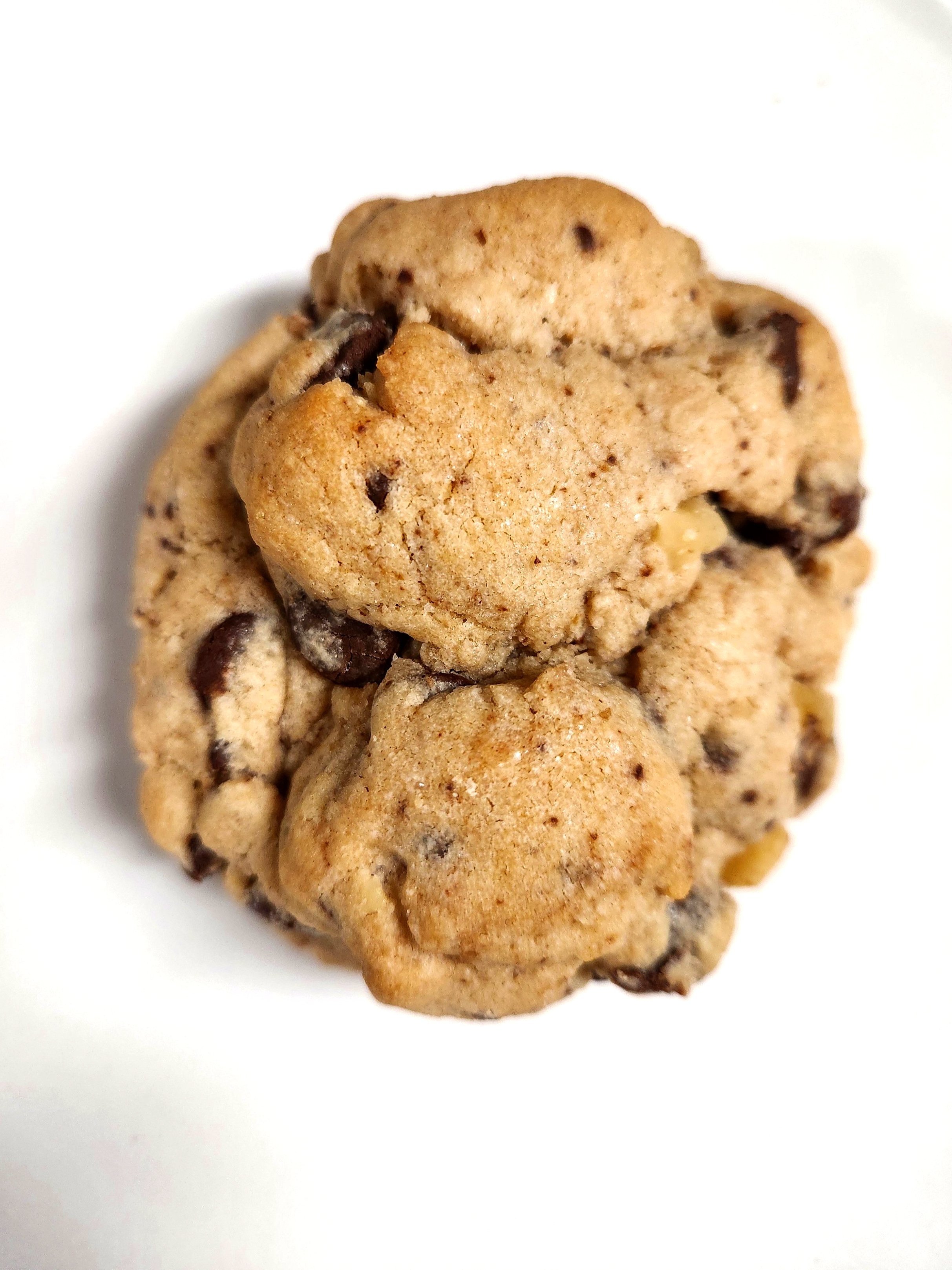 Bastion Chip - Chococolate Chip Cookies with Walnuts