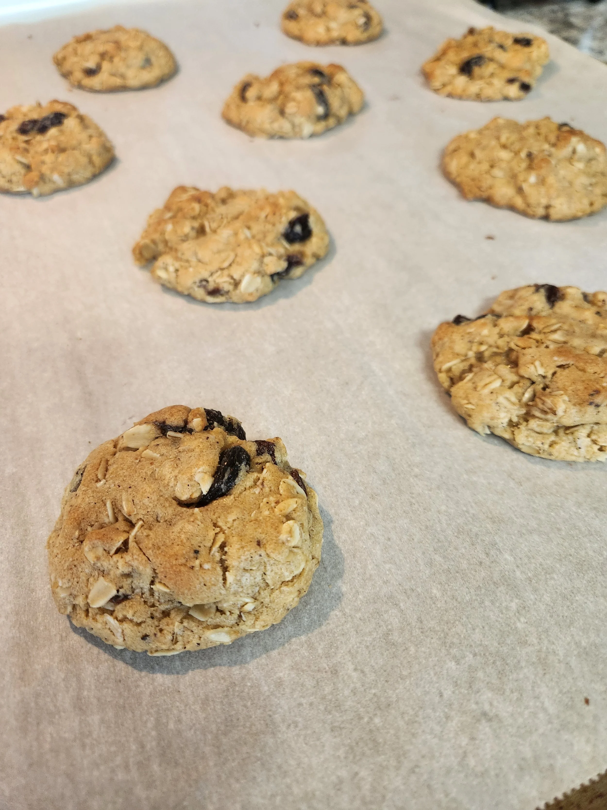 20260314_161221 1.jpg