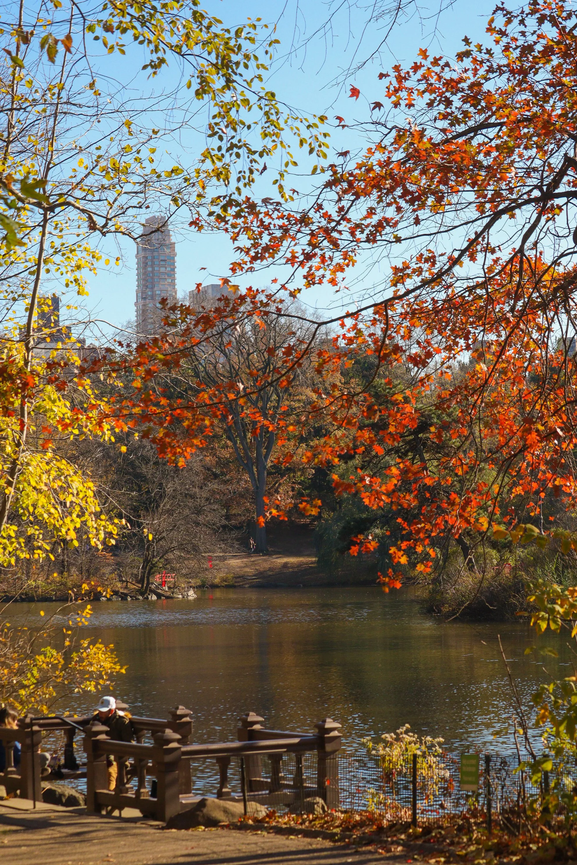 Photo Nov 21 2022, 10 54 37.jpg