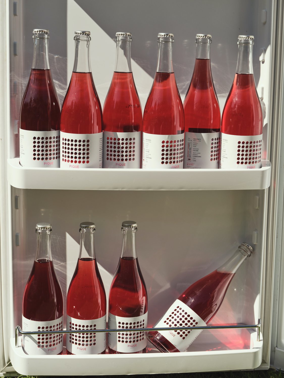Pique_S2 fridge LR copy.jpg