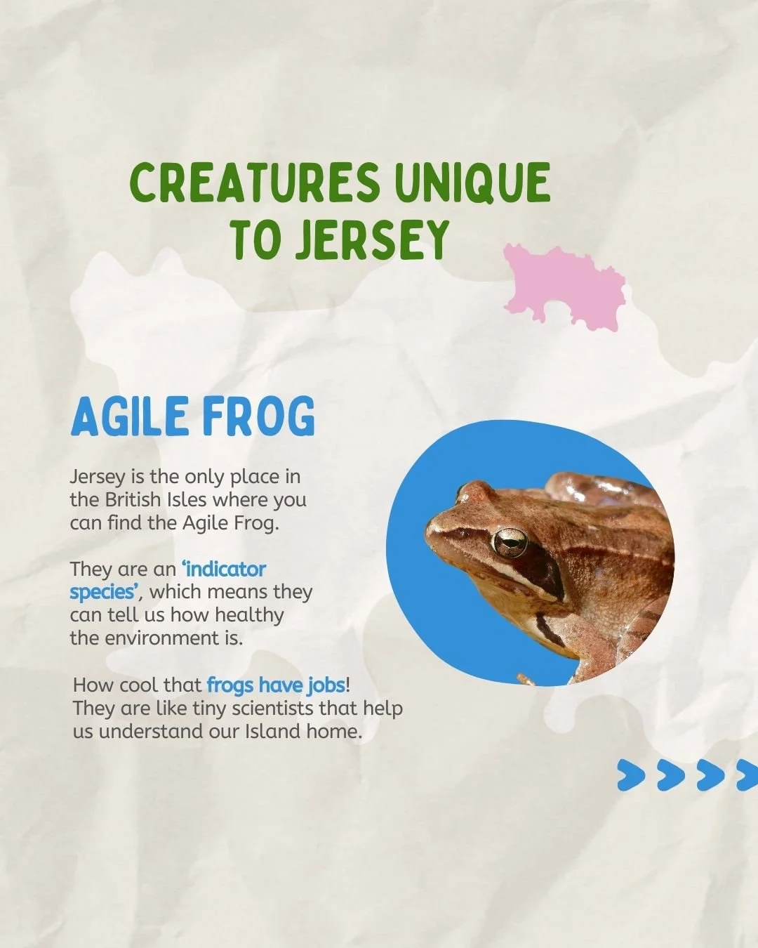 Looking for a way to keep your kids learning over the Christmas break? We're excited to offer the first two modules of our Island Education Programme, available for free now on our website. With facts and questions to get your child thinking about th