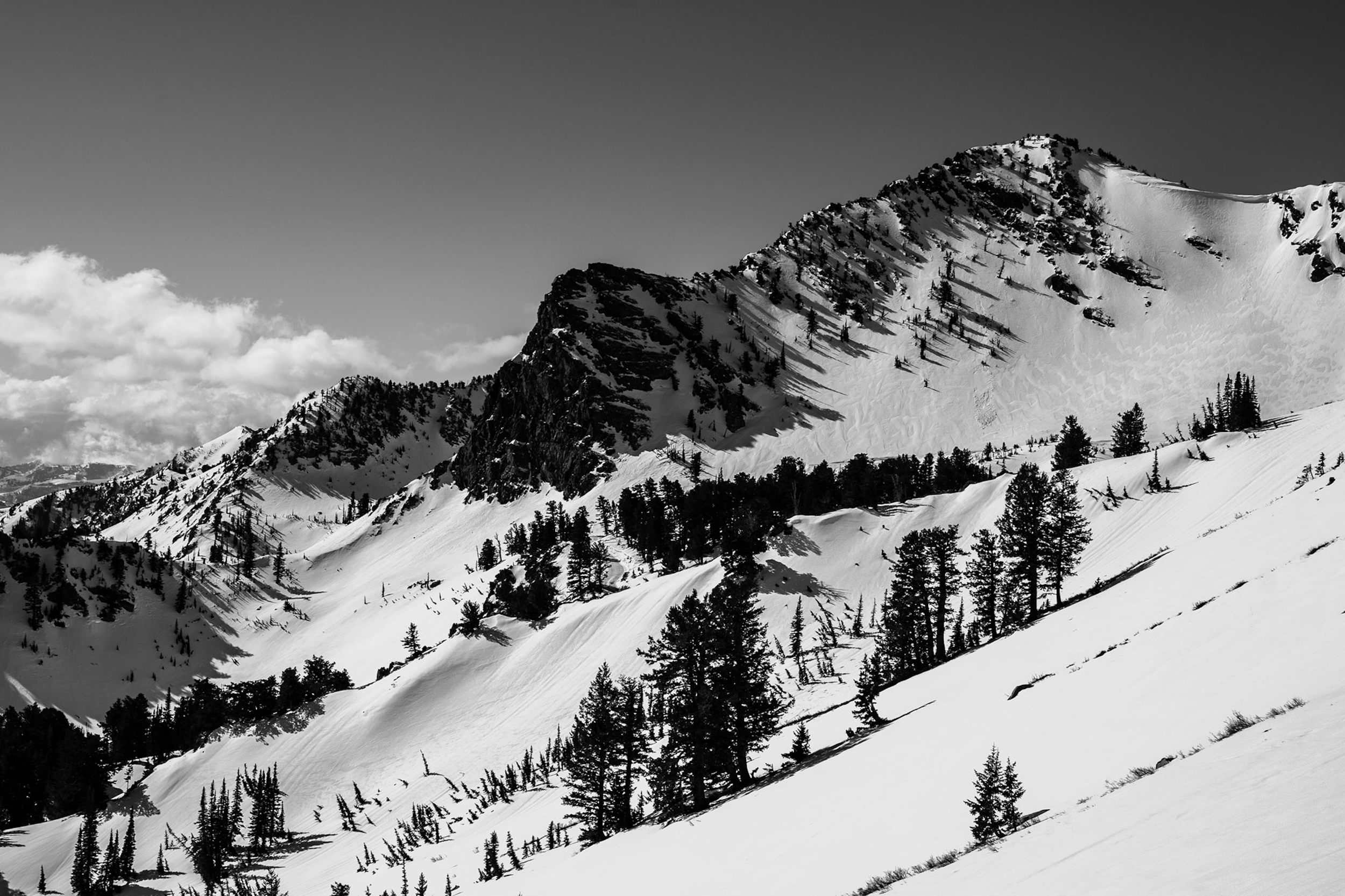 Screenshot 2025-02-18 at 1.48.28 PM.png