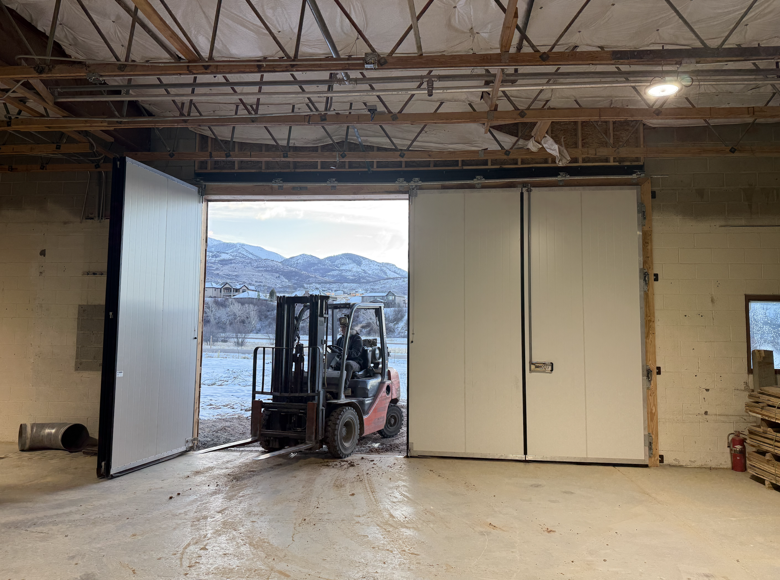 Screenshot 2026-01-28 at 12.14.15 PM.png