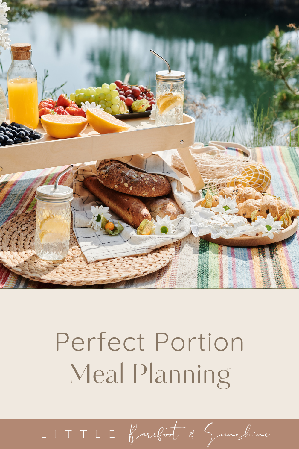 perfect portion updated logo.png