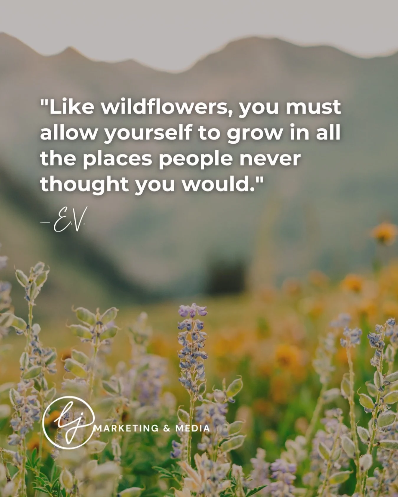 Growth doesn&rsquo;t always follow a straight path&mdash;and that&rsquo;s the beauty of it.

Like wildflowers, we bloom in unexpected places, often becoming more than anyone imagined.

Here&rsquo;s your reminder to keep growing, even when the ground 