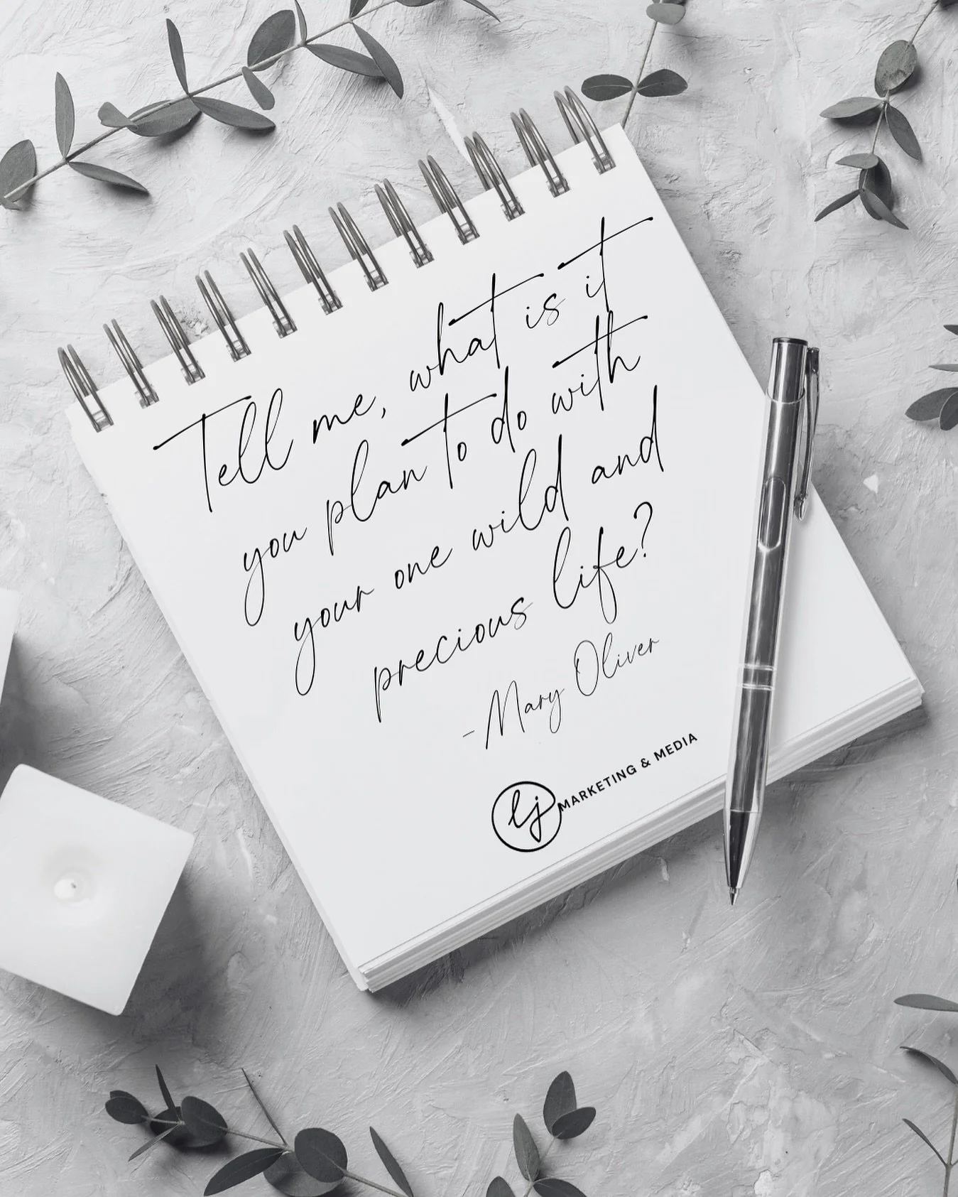 &ldquo;Tell me, what is it you plan to do with your one wild and precious life?&rdquo; &ndash; Mary Oliver

This question changed everything for me.

LJ MM was born out of a desire to build something meaningful &mdash; a space where strategy meets so