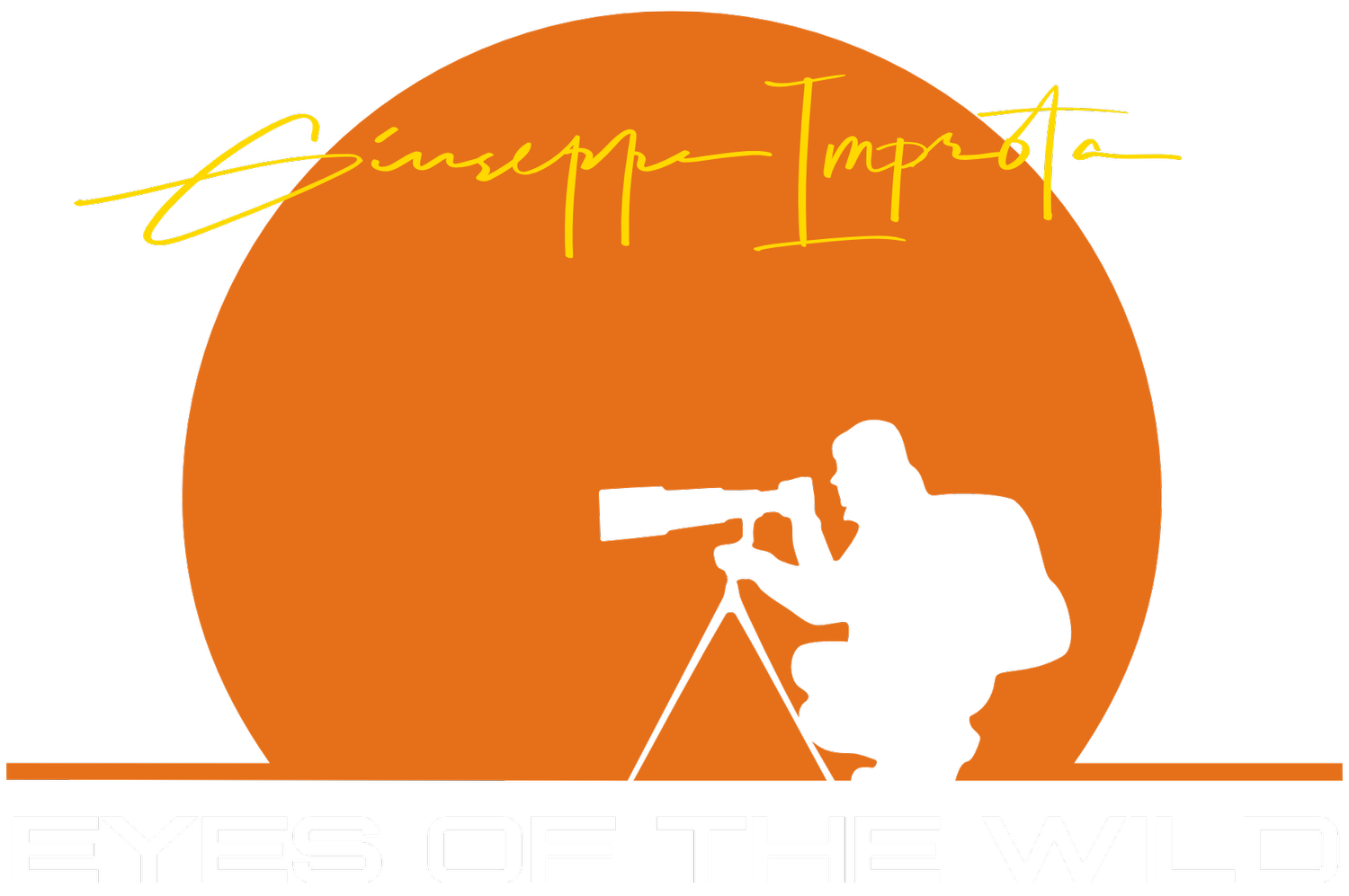 Eyes of the Wild &mdash; Nature &amp; Wildlife Photography + Expeditions