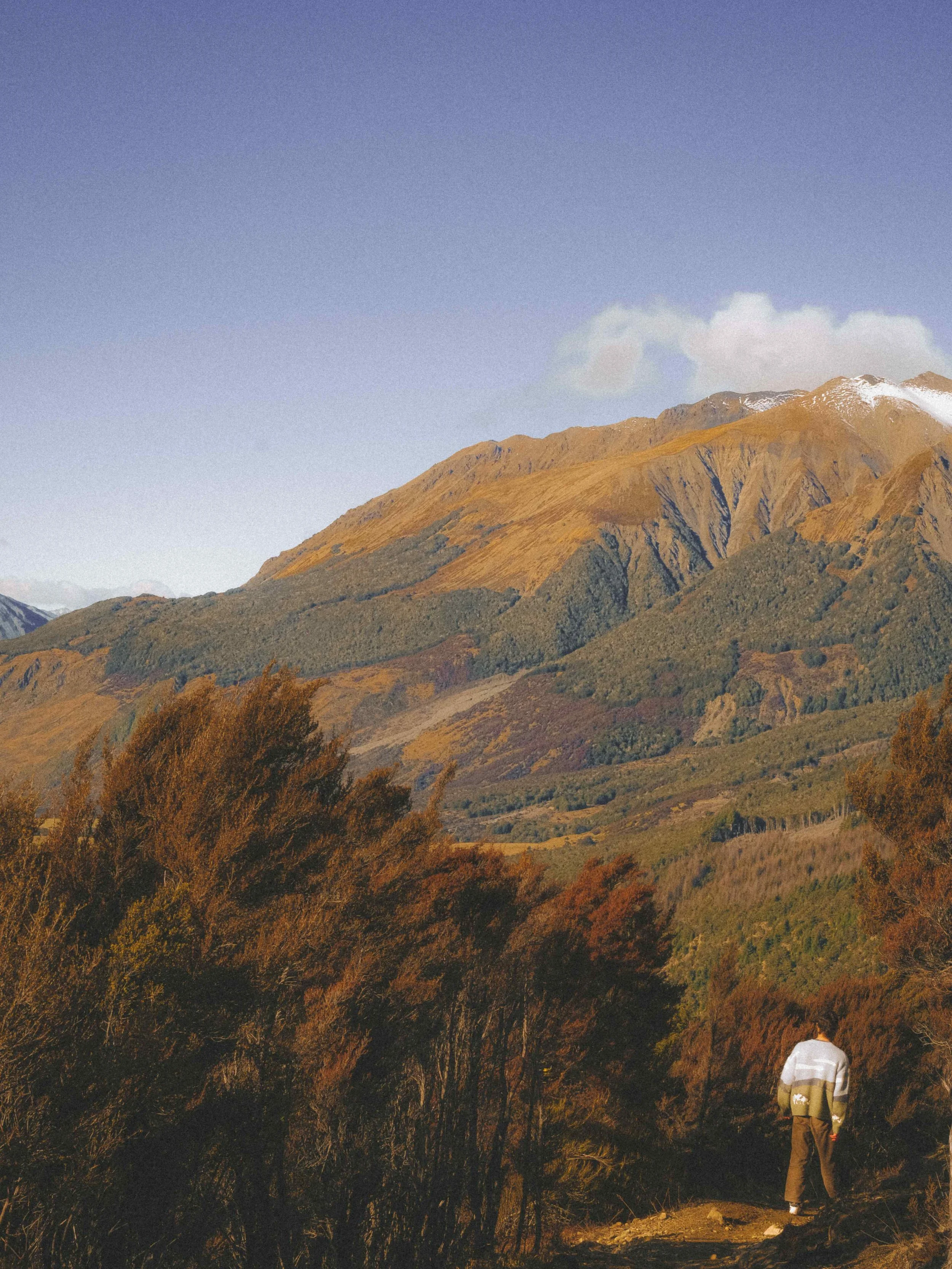 big mountains New Zealand travel walking