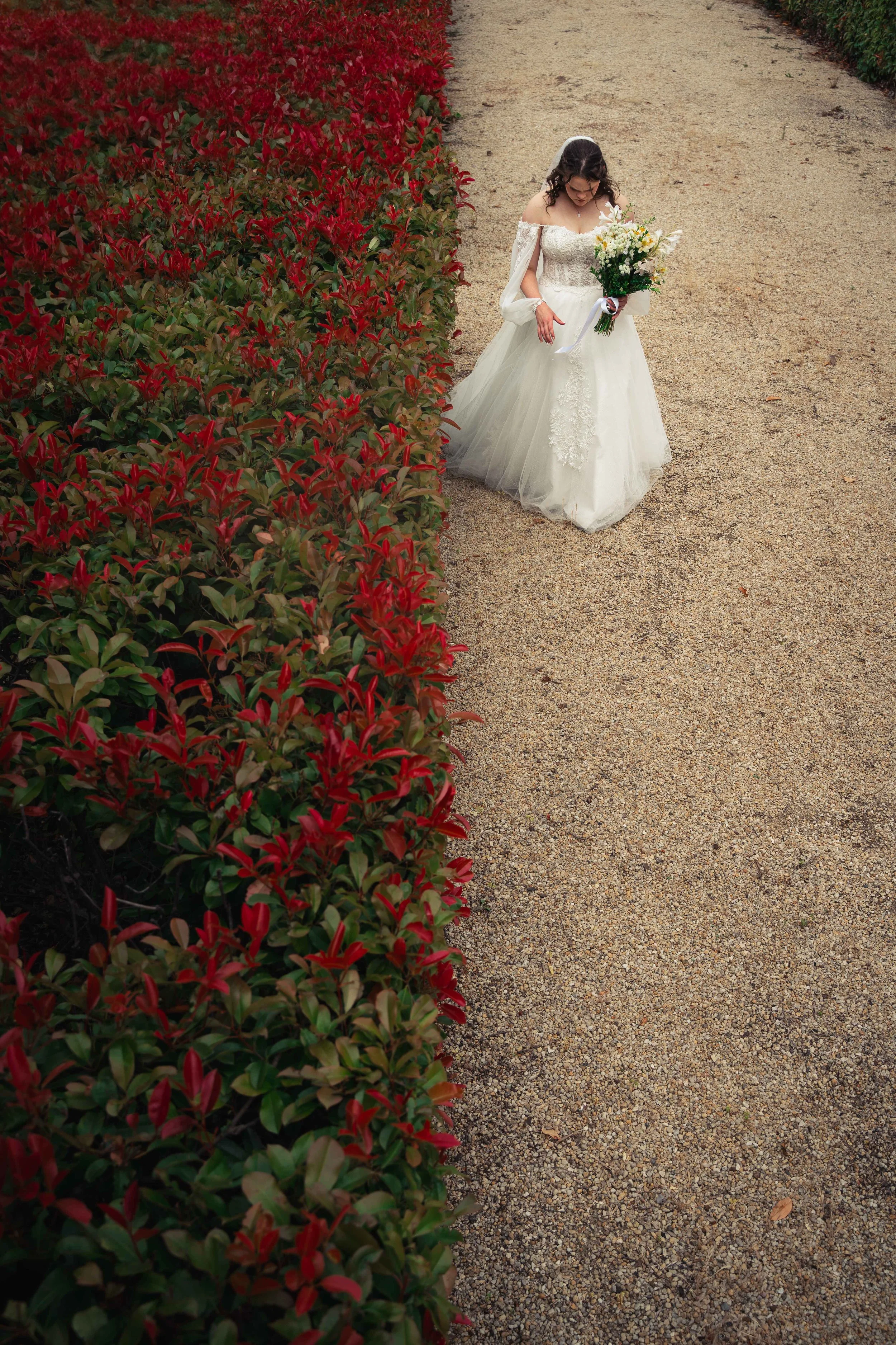 bride artistic photo moody nature adelaide hills dress ideas