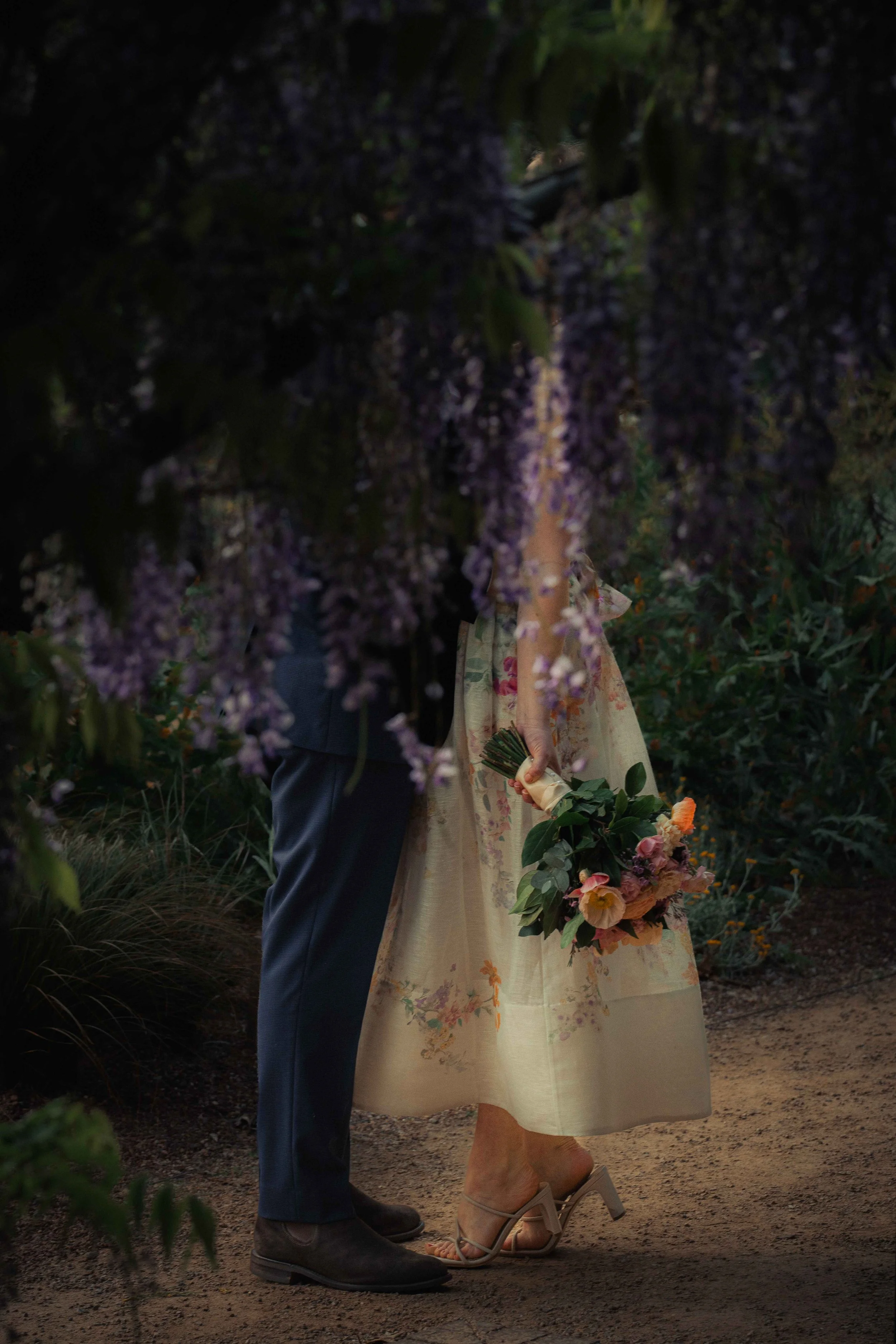 Adelaide botanic gardens wisteria wedding bride and groom