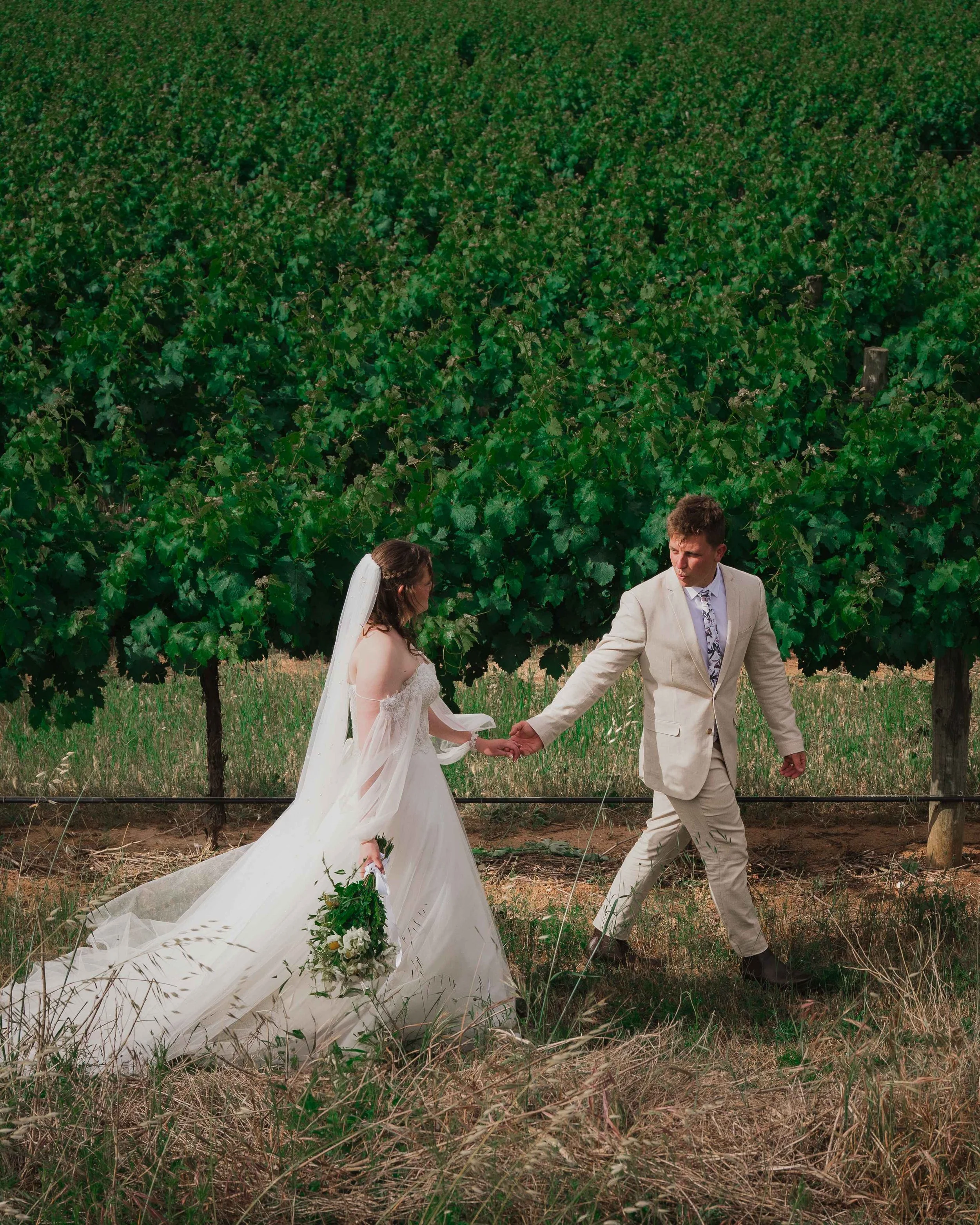 bride and groom vineyard adelaide hills