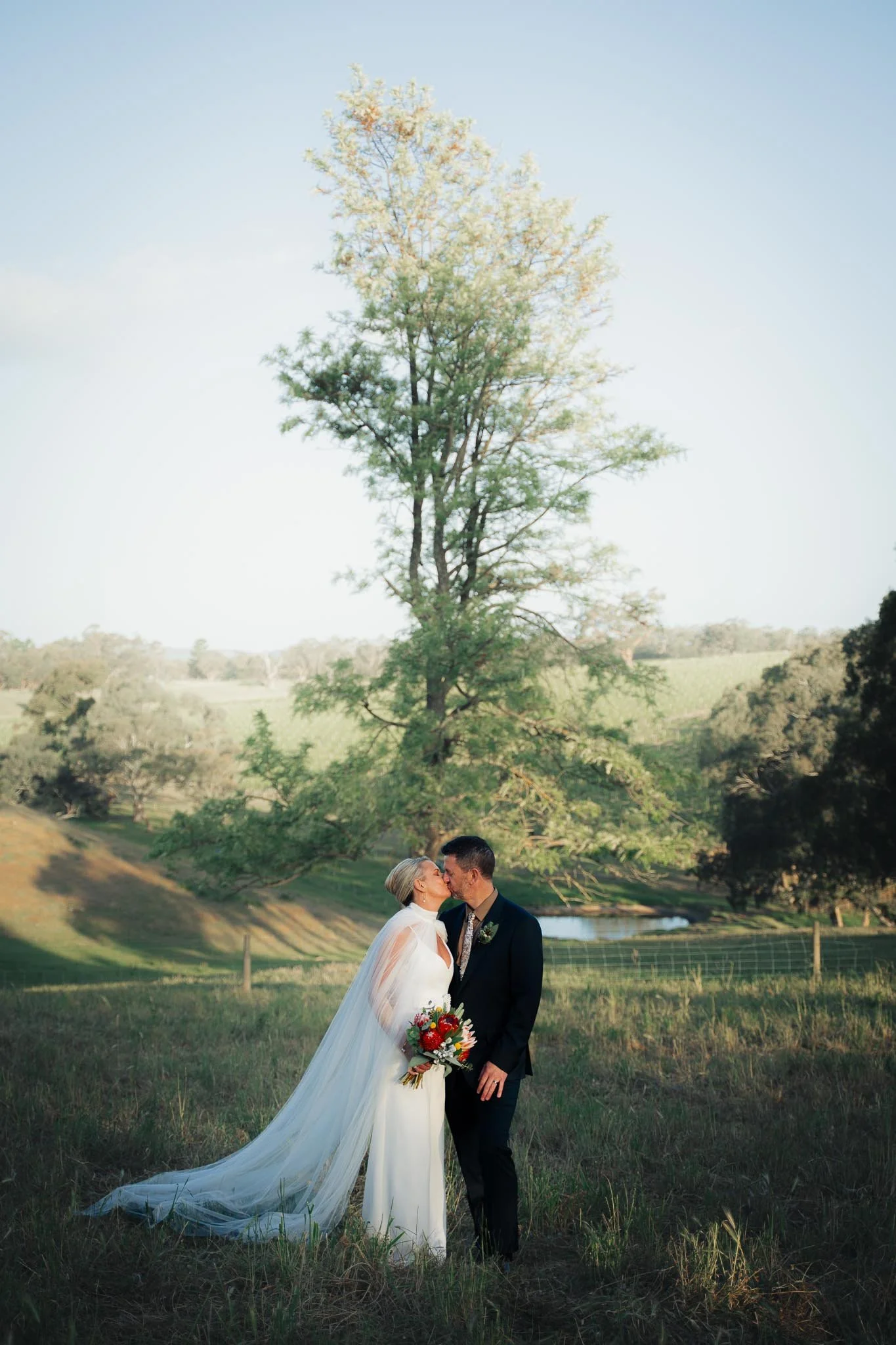 A bride and groom sharing a kiss outdoors on a sunny day, with a large tree and rolling hills in the background.