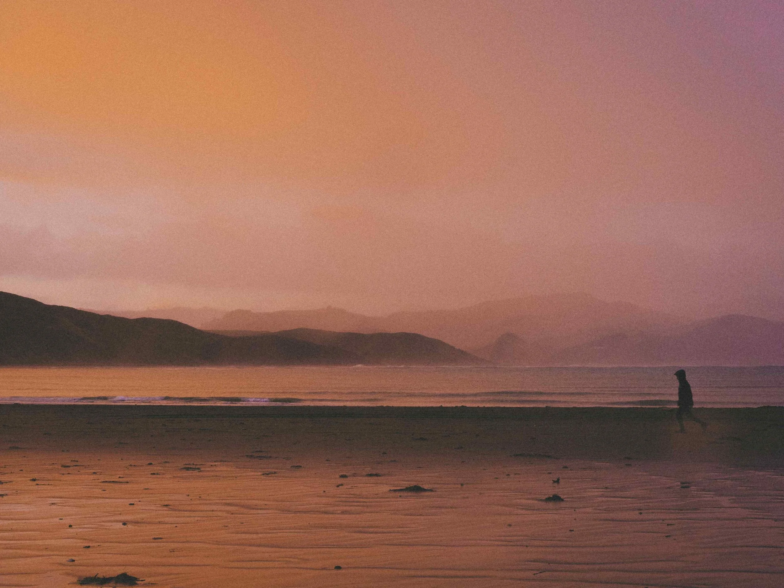 beautiful sunset beach moody New Zealand 