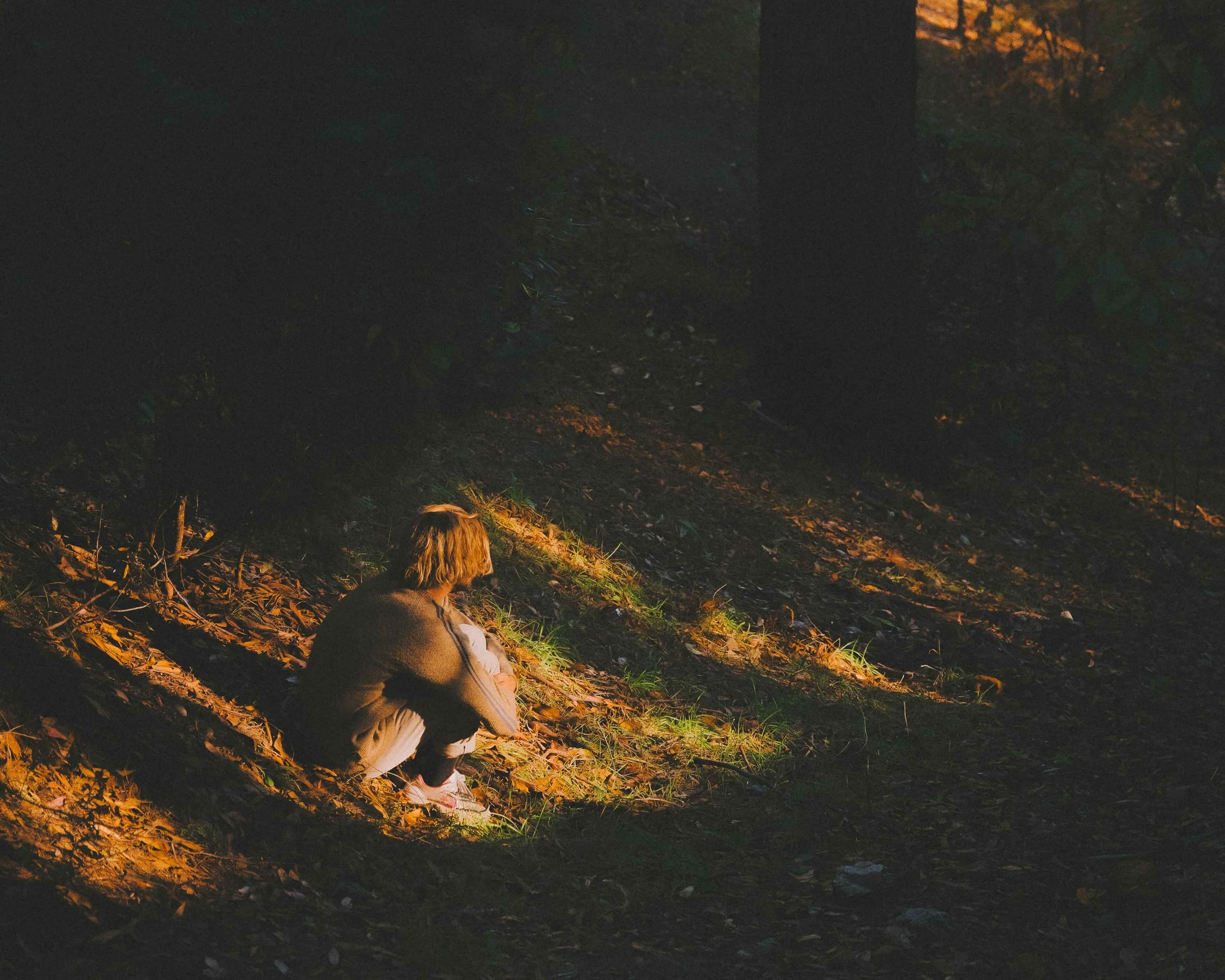 mount lofty botanical gardens autumn