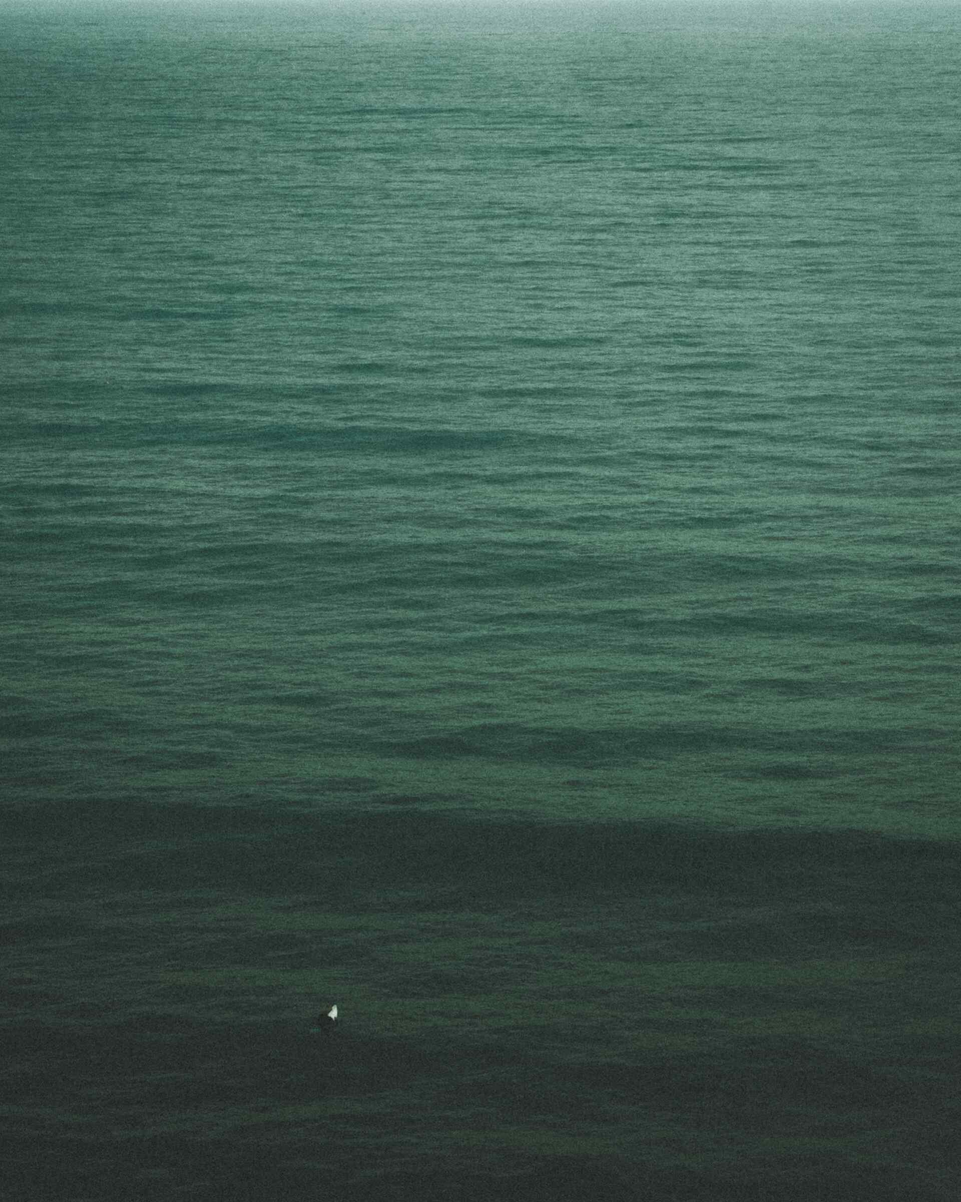 New Zealand surf moody peaceful travel