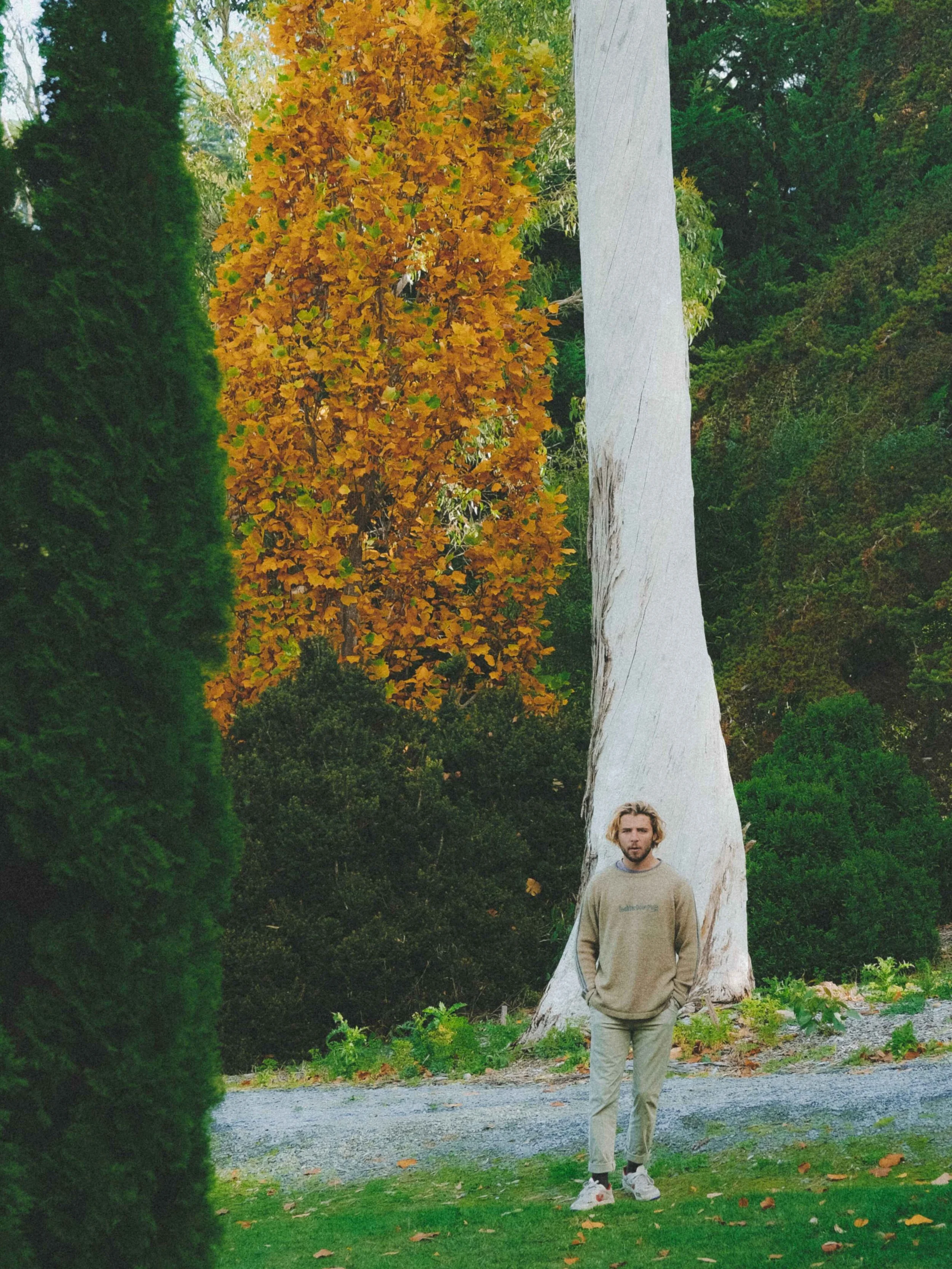 mount lofty botanical gardens autumn