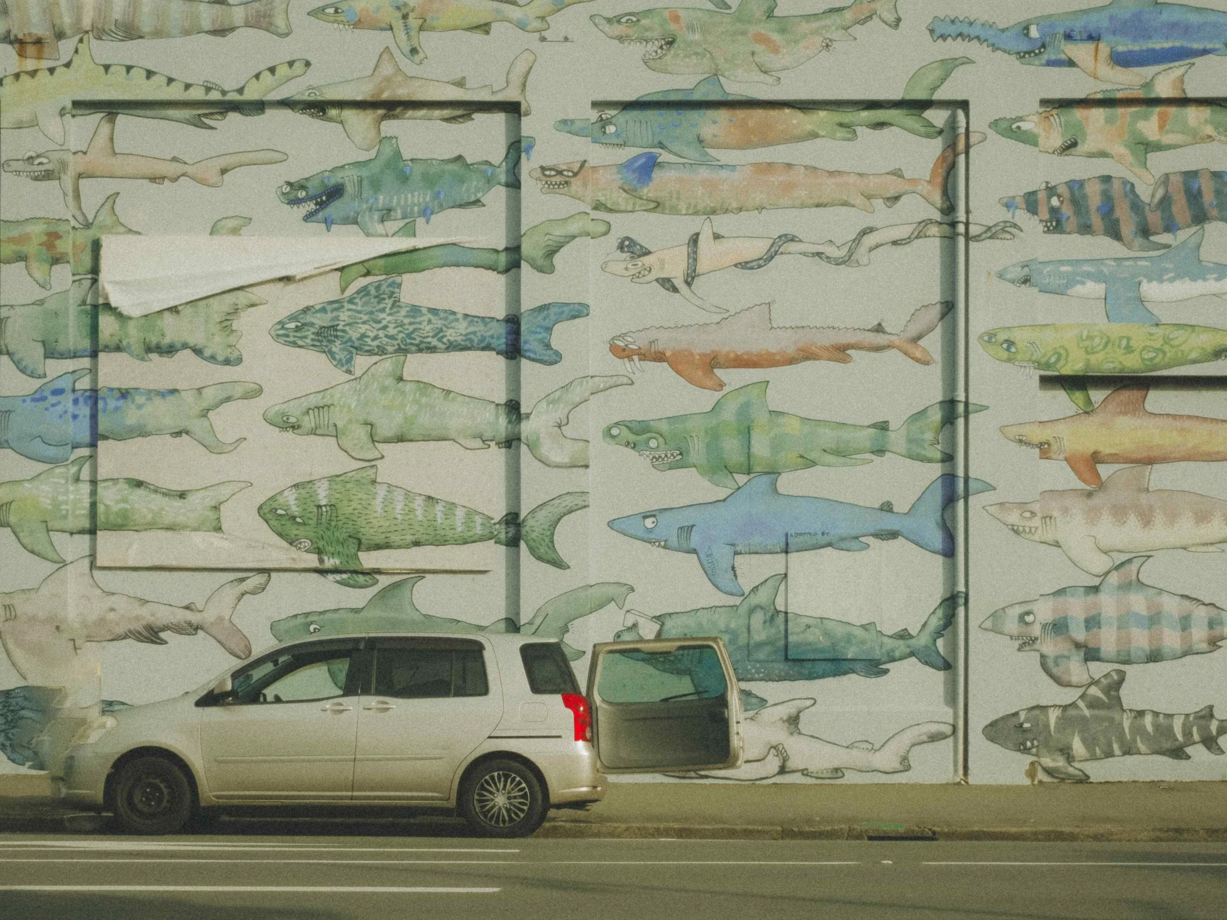 street photography shark mural New Zealand
