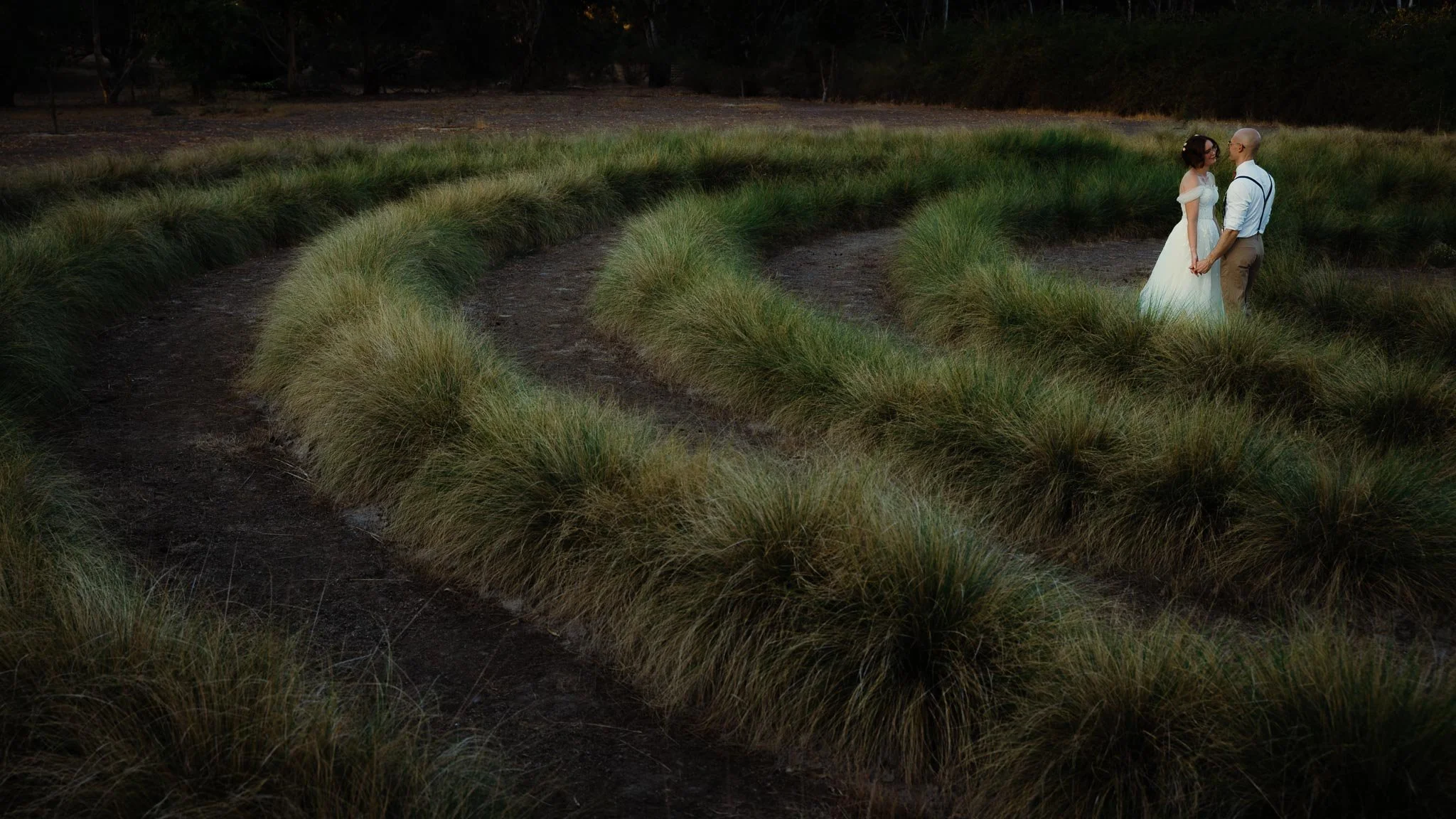 A couple holding hands standing in a maze of tall grass outdoors at dusk.