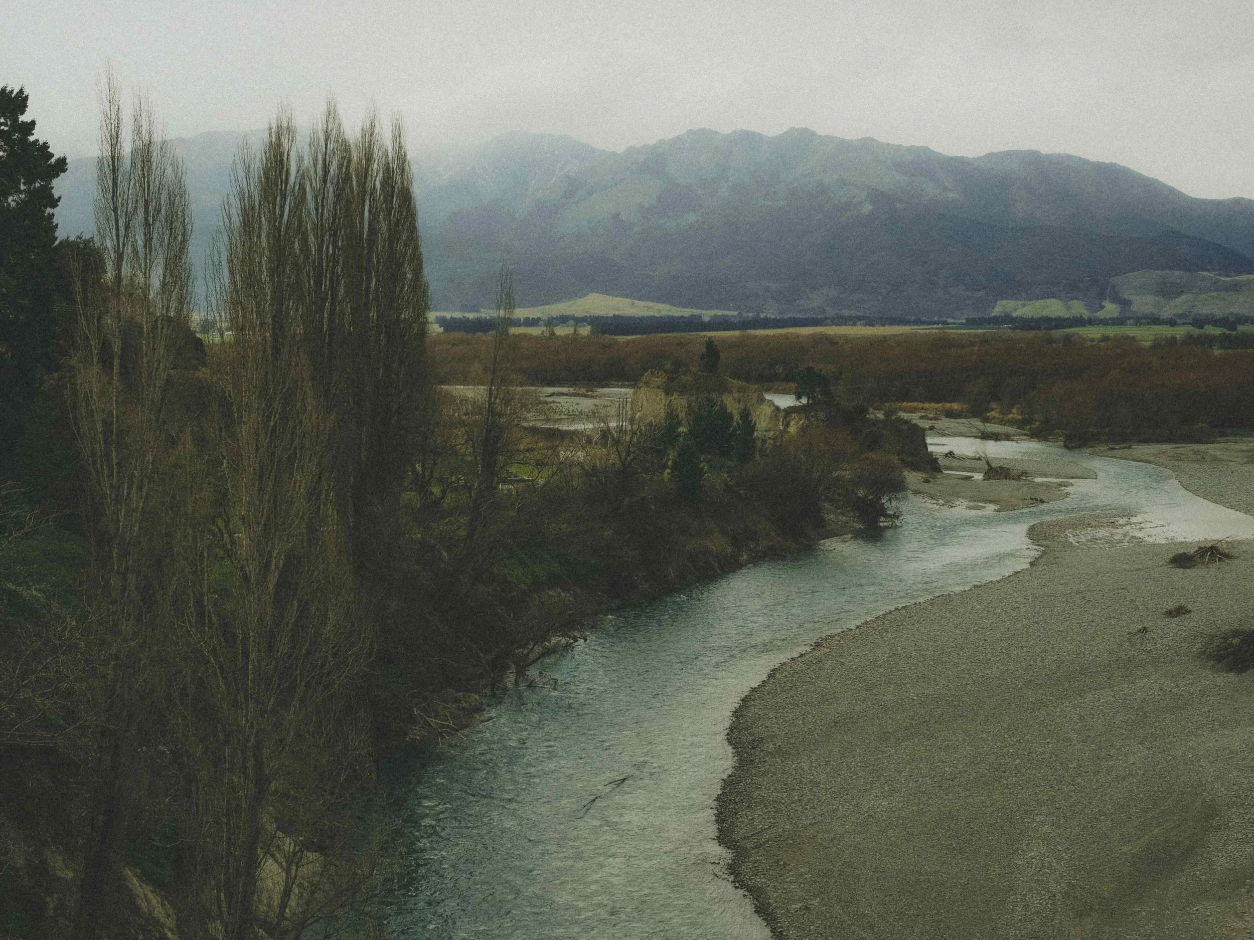 new zealand brook misty moody travel