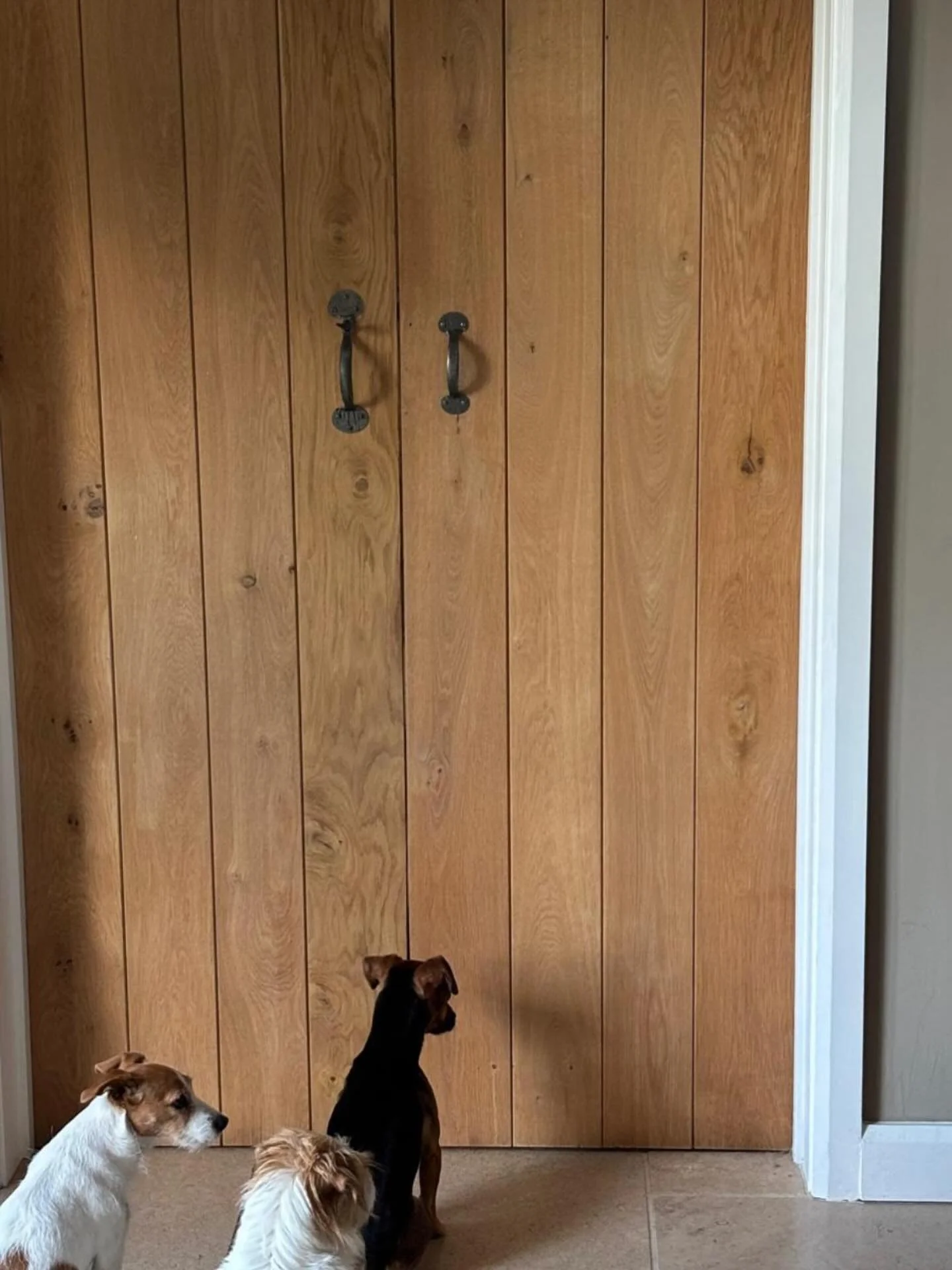 I&rsquo;ve just emerged from a 3 hour meeting and apparently these little people have not moved a muscle! Nothing quite like terrier love! #dogsofinstagram #puppylove #jackrusselmoments