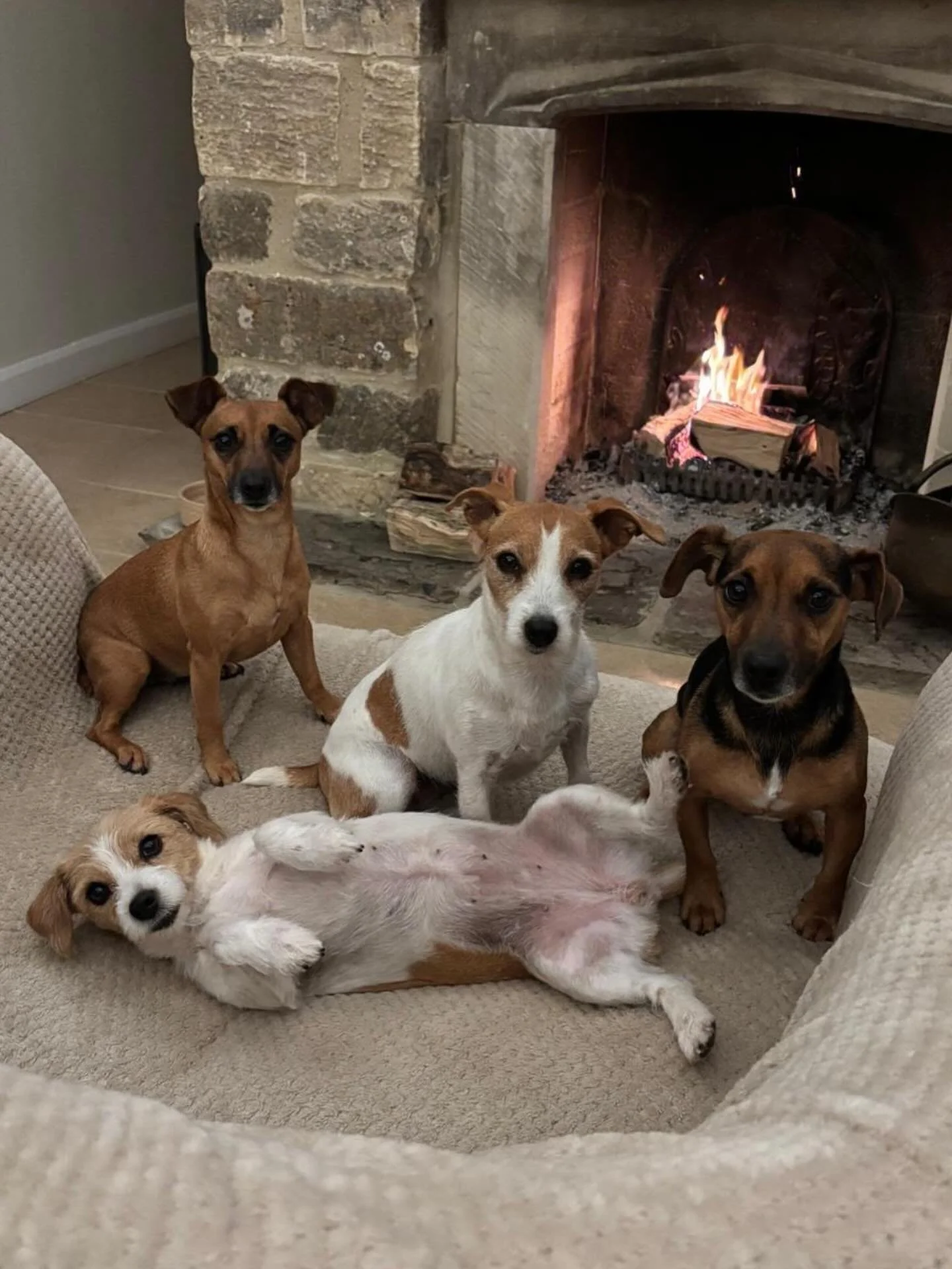 When is Mum coming home Dad?