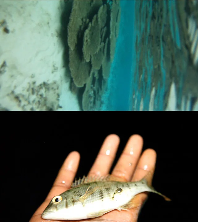 Normal
0
false
false
false
EN-CA
JA
X-NONE
 
 
 
 
 
 
 
 
 
 
 
 
 
 
 
 
 
 
 
 
 
 <w:LatentStyles DefLockedState="false" DefUnhideWhenUsed="true"
DefSemiHidden="true" DefQFormat="false" DefPriority="99"
LatentStyleCount="276">…