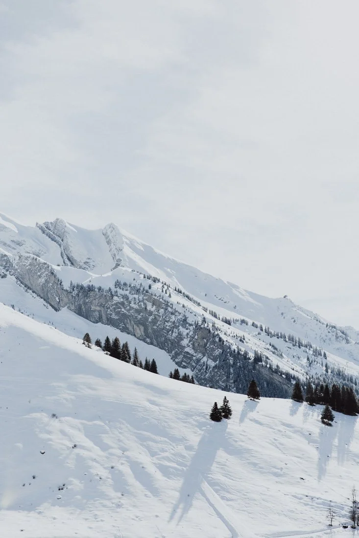 Neige
