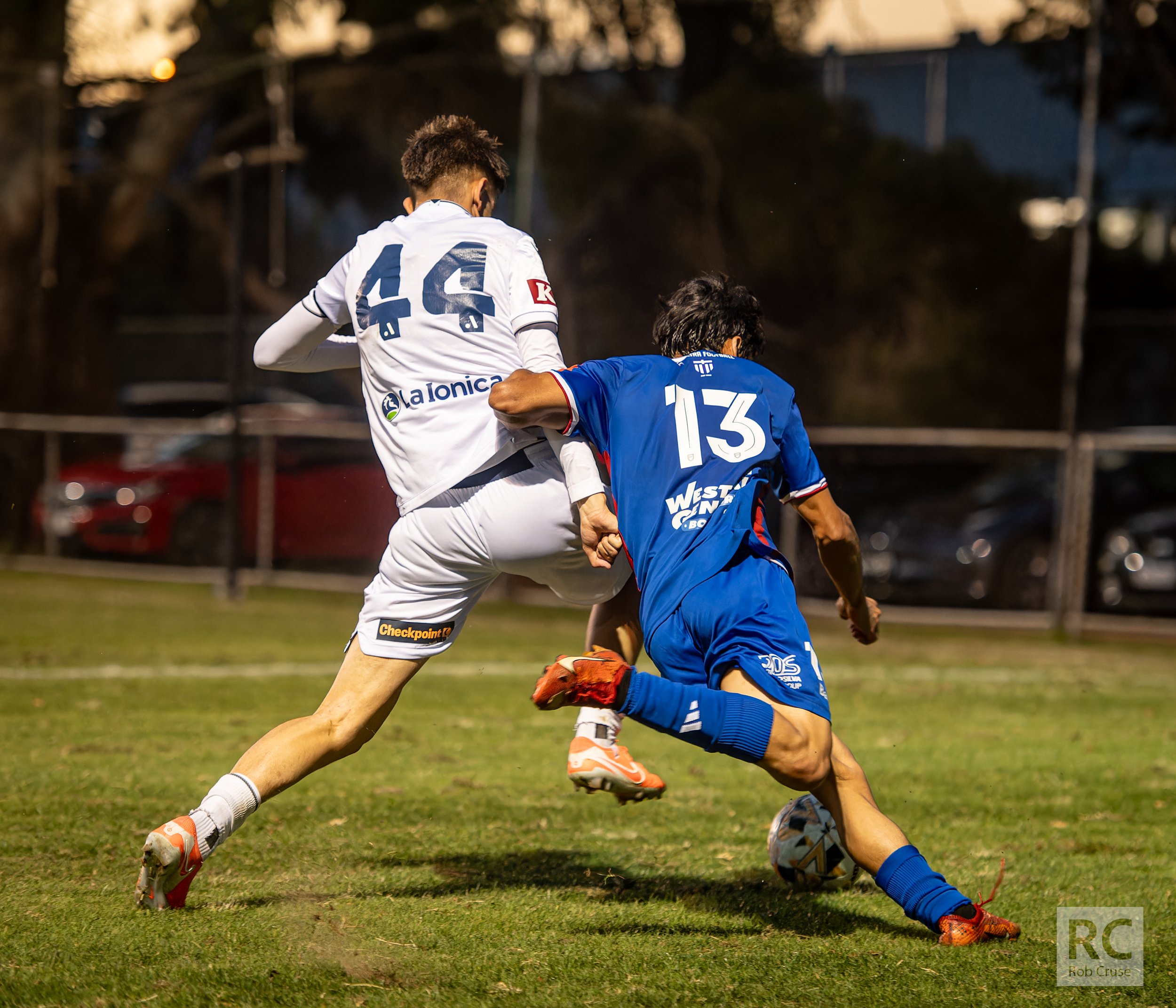 DSC_7148-NEF_DxO_DeepPRIMEXD.jpg