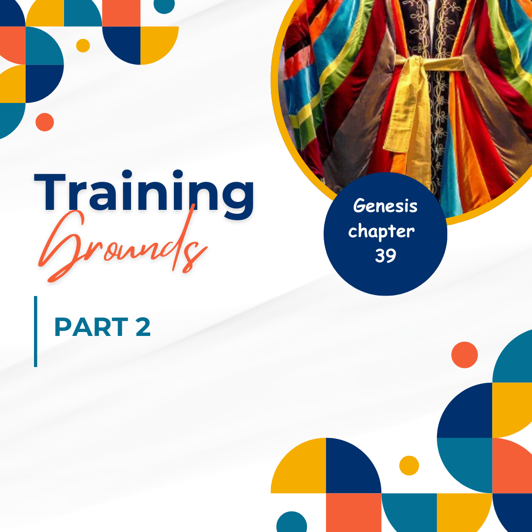 Training Grounds Part 2