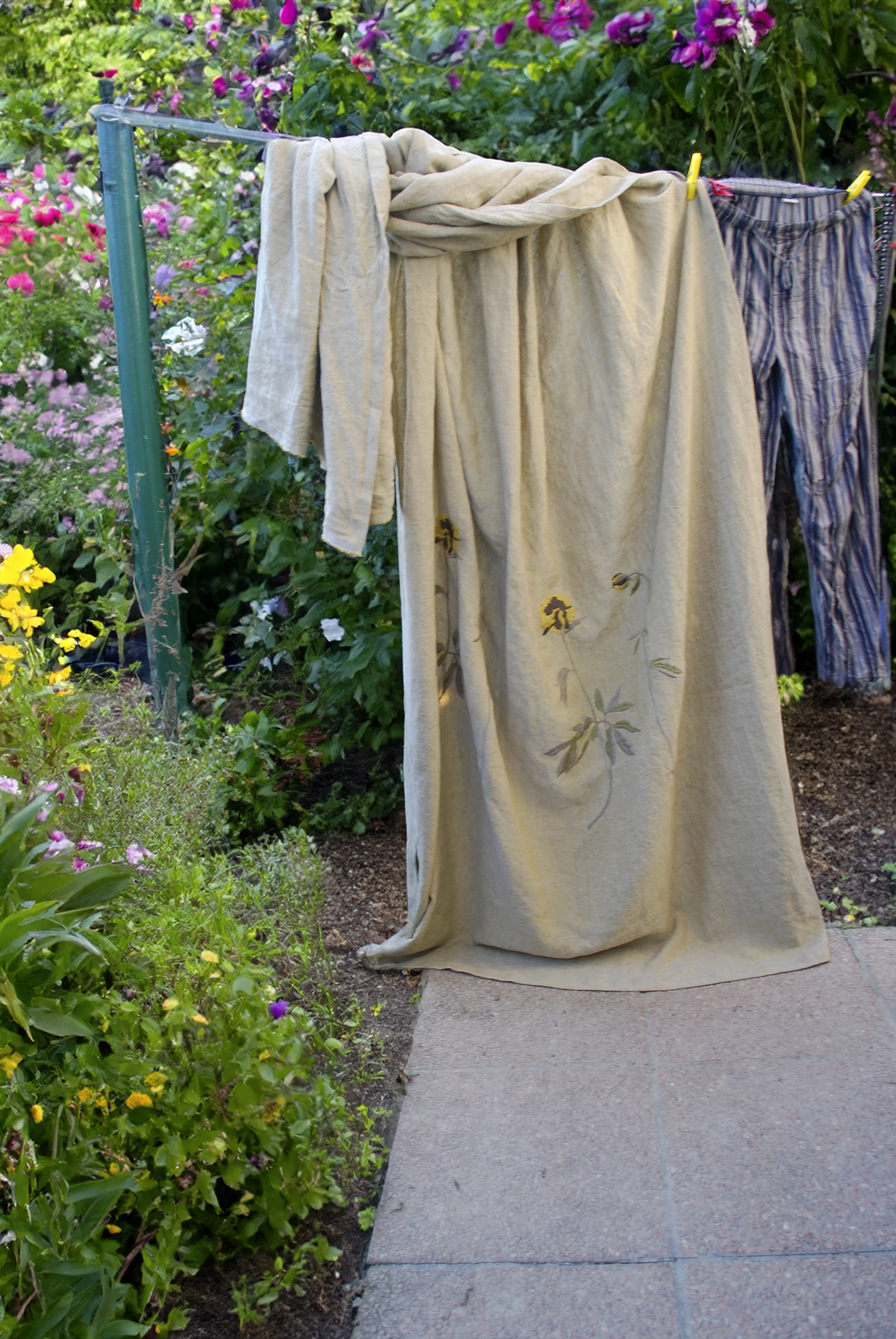 DSC_2285.jpg
