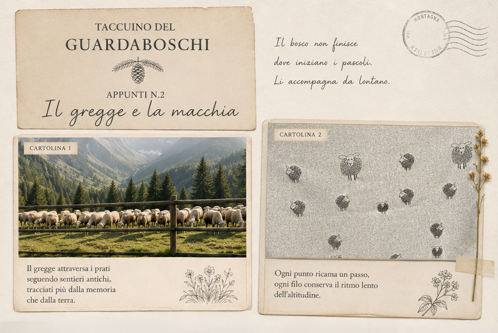 Il taccuino del guardaboschi | 02