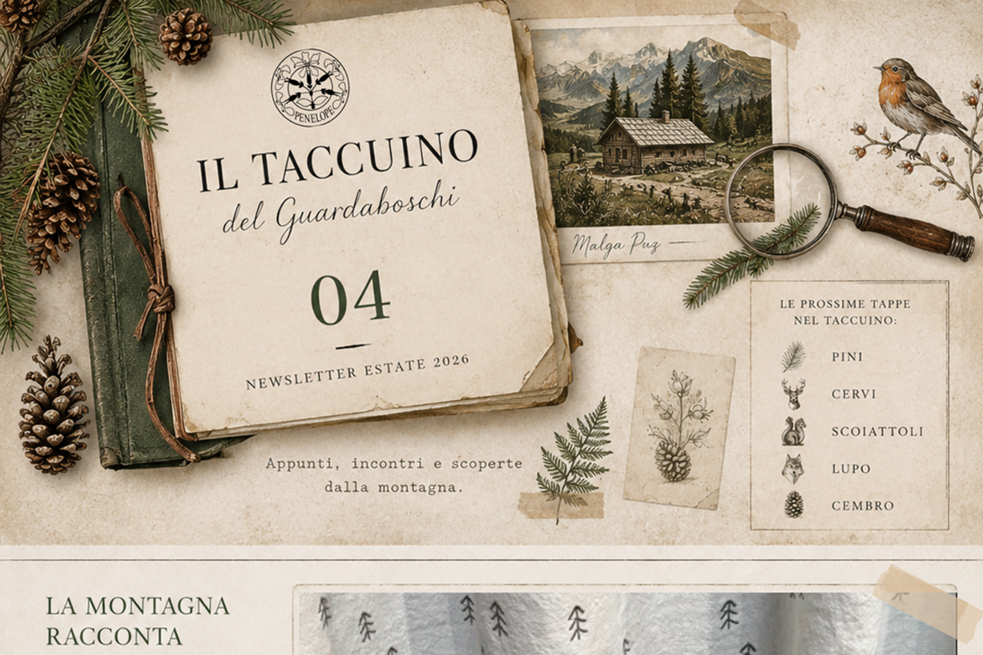 Il taccuino del guardaboschi | 04