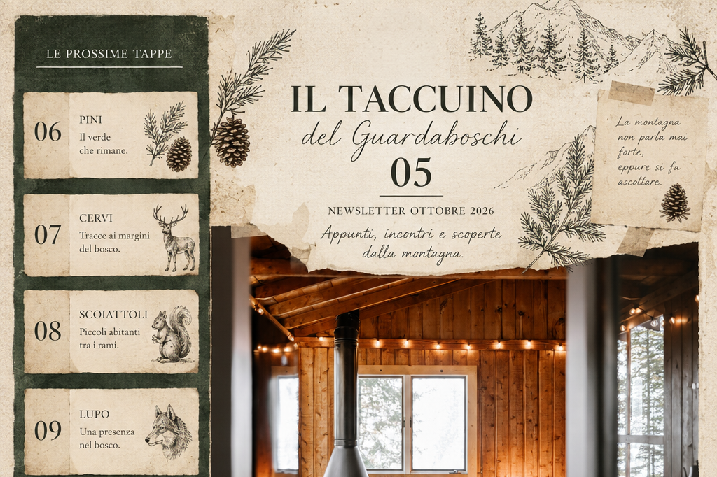 Il Taccuino del Guardaboschi · L'Orso Bruno