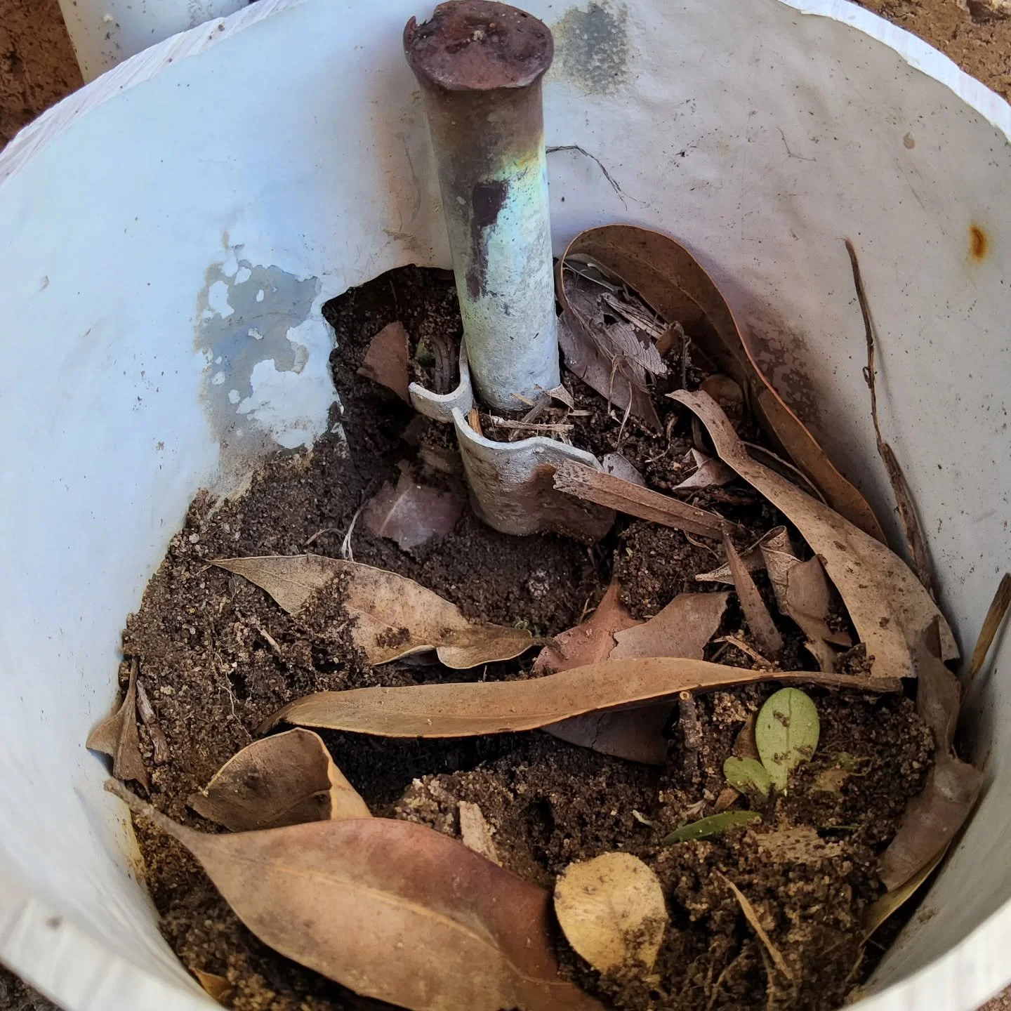 ⚡ Switchboard Safety Inspection Saves the Day! ⚡

During a recent inspection, we found the main earth cable completely disconnected from the earth stake. A serious safety issue that could have left the home unprotected.

We were able to fix it immedi